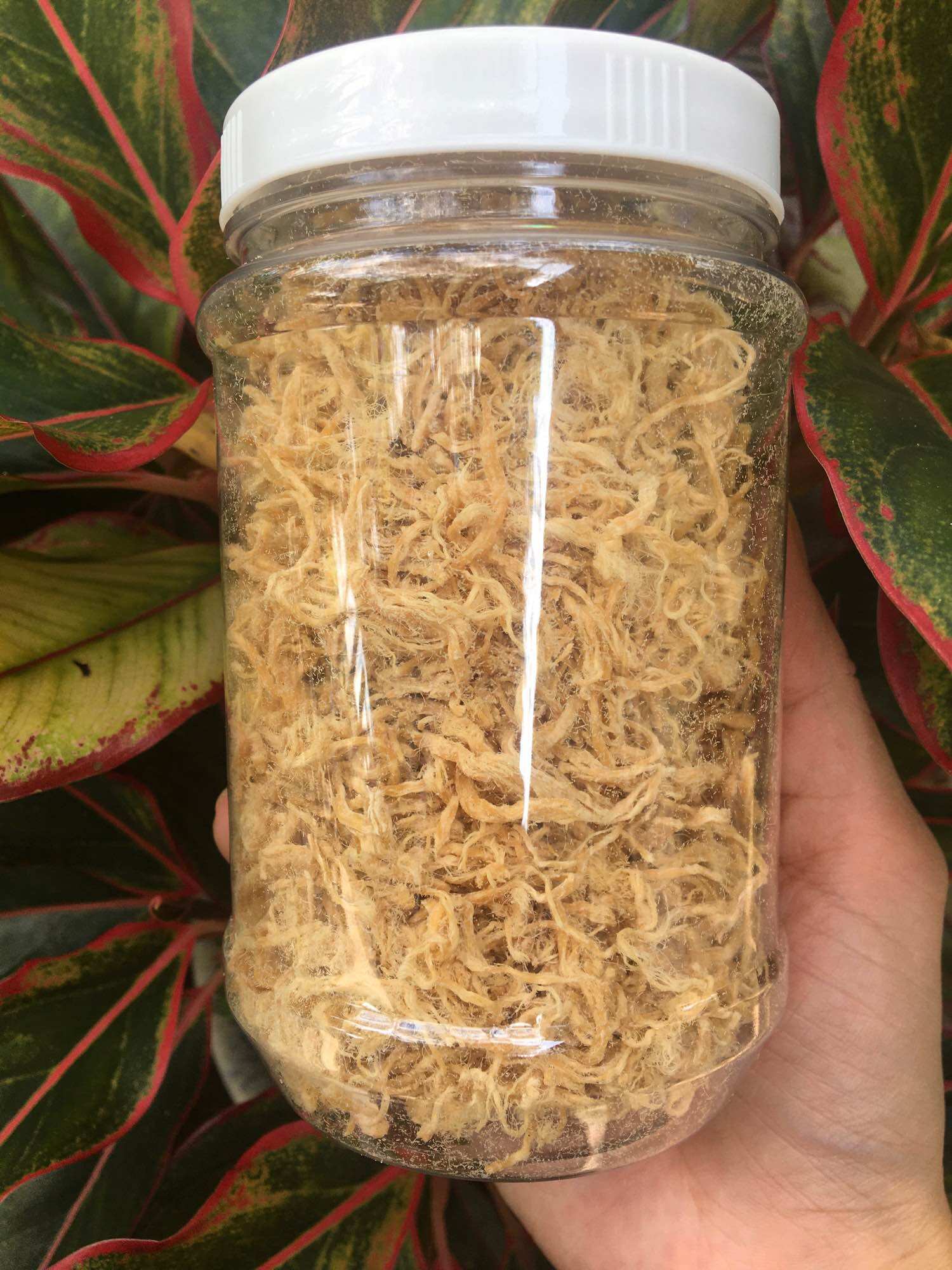 100gr Chà bông gà