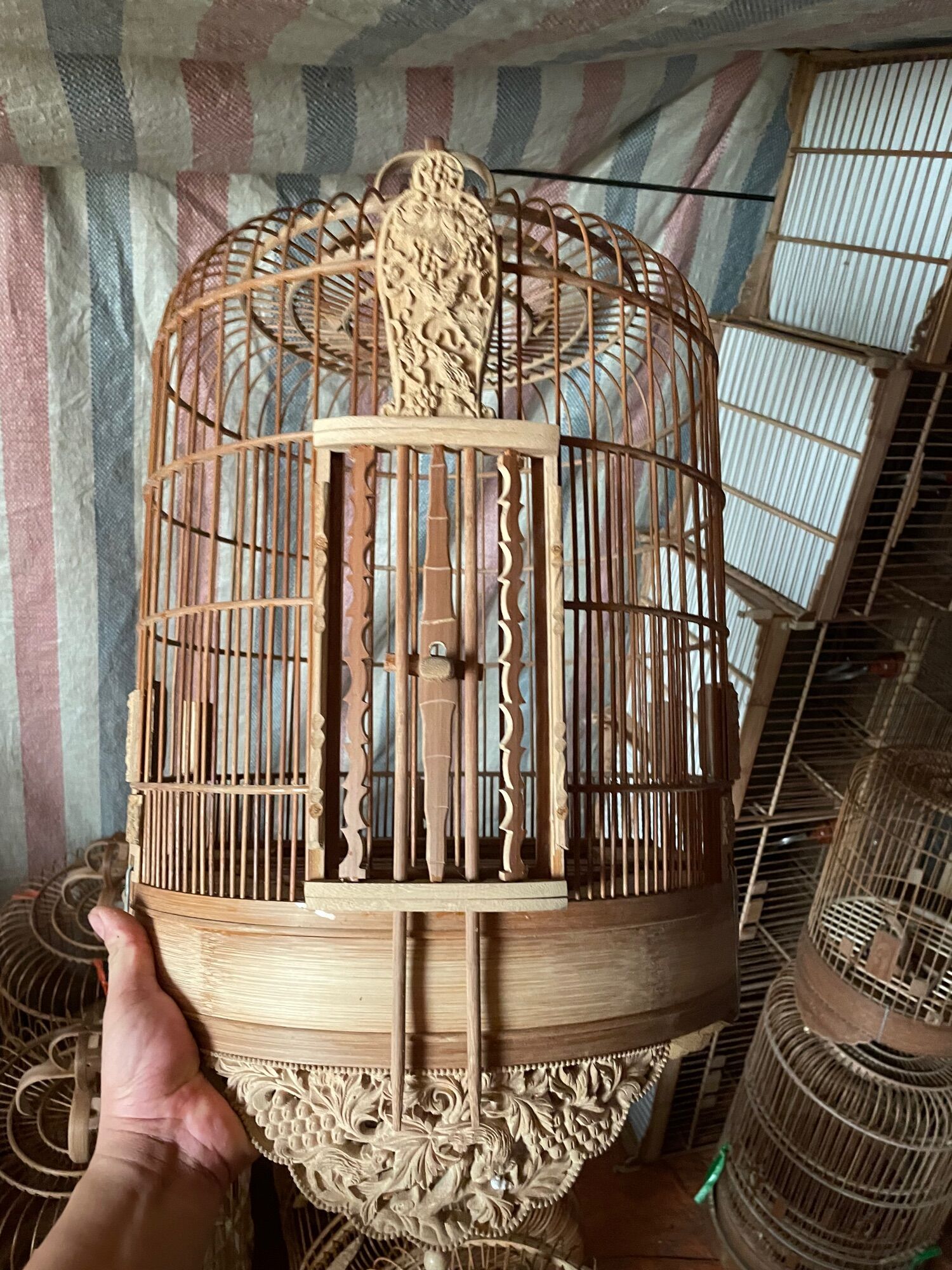 LỒNG Chim mi đục nhiều tích đục