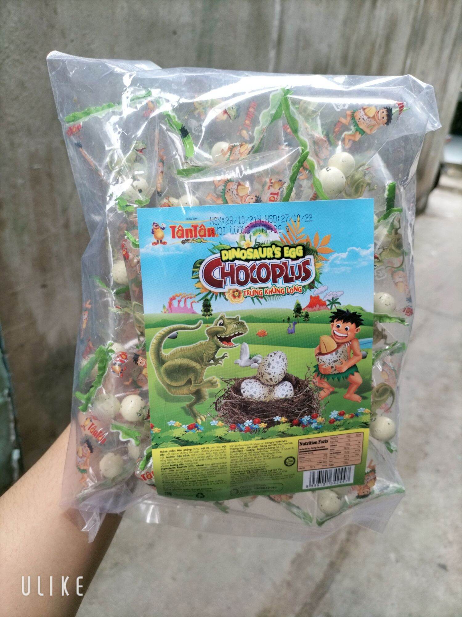Tan chocolate plus dinosaur egg