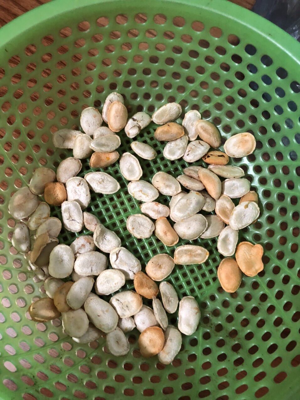 HÓT Hạt Sàng Trắng loại chuẩn (sl 11 hạt)