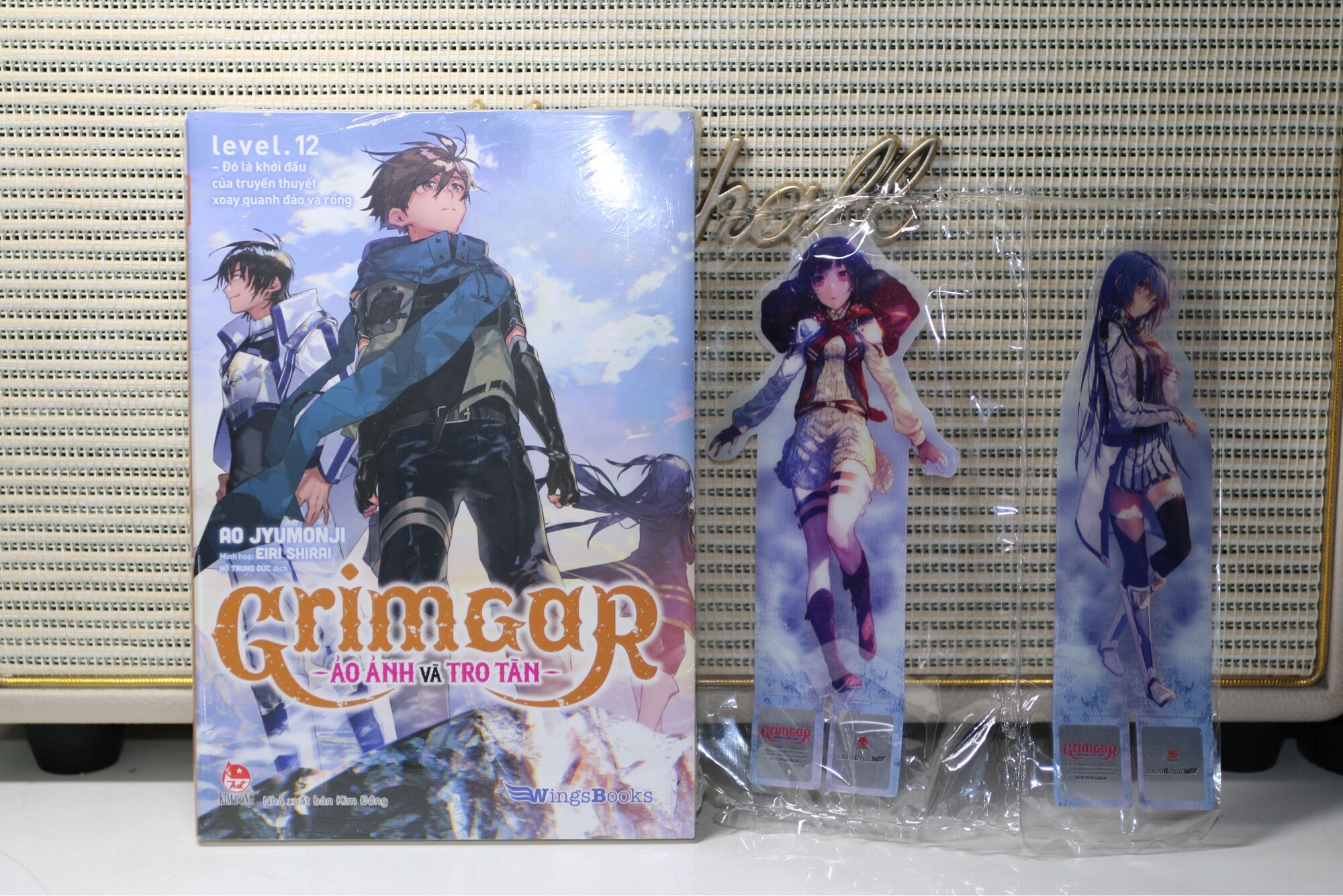 Grimgar Ảo Ảnh và Tro Tàn tập 12 bản giới hạn kèm 2 standee
