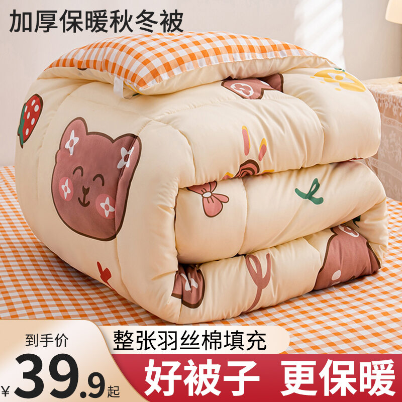 Chăn bông chăn mùa đông chăn giữ ấm dày dặn chăn ruột chăn chăn không gian ký túc xá học sinh một người mùa đông chăn xuân thu hai người thu đông