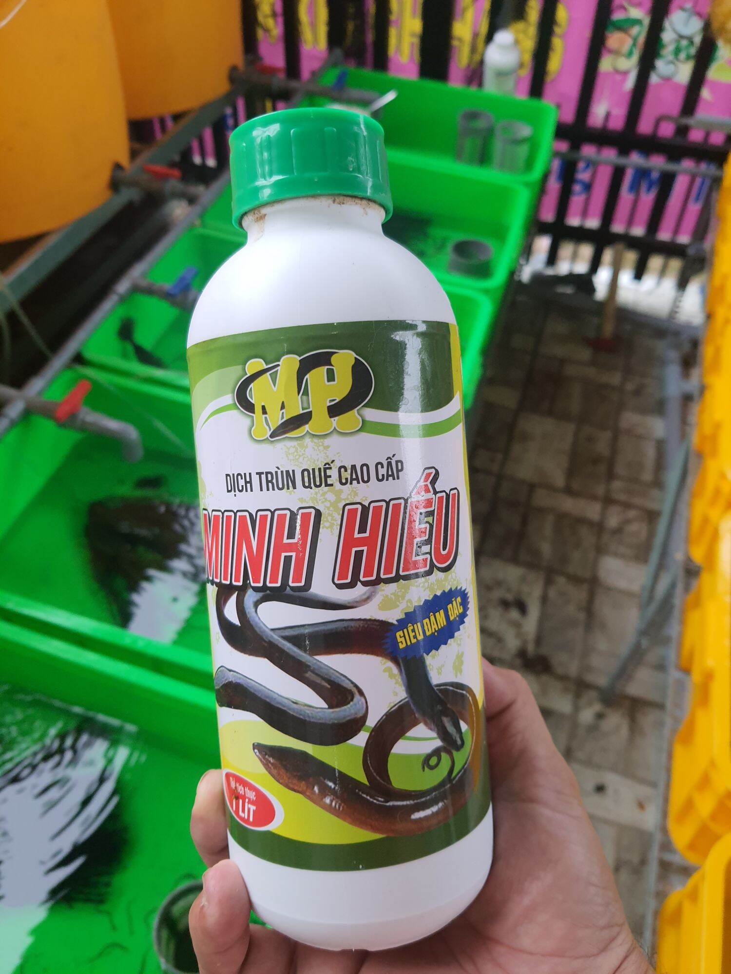 Dịch trùng quế SIÊU ĐẬM ĐẶC cho lươn bột