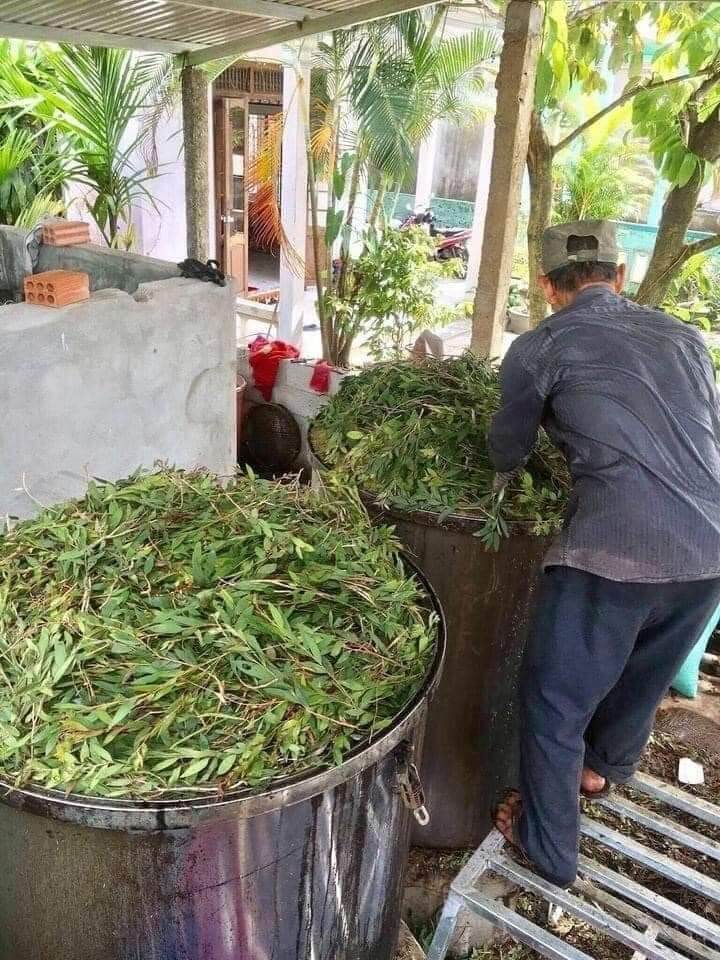 Dầu tràm Huế chuẩn, nguyên chất 100%, 100ml