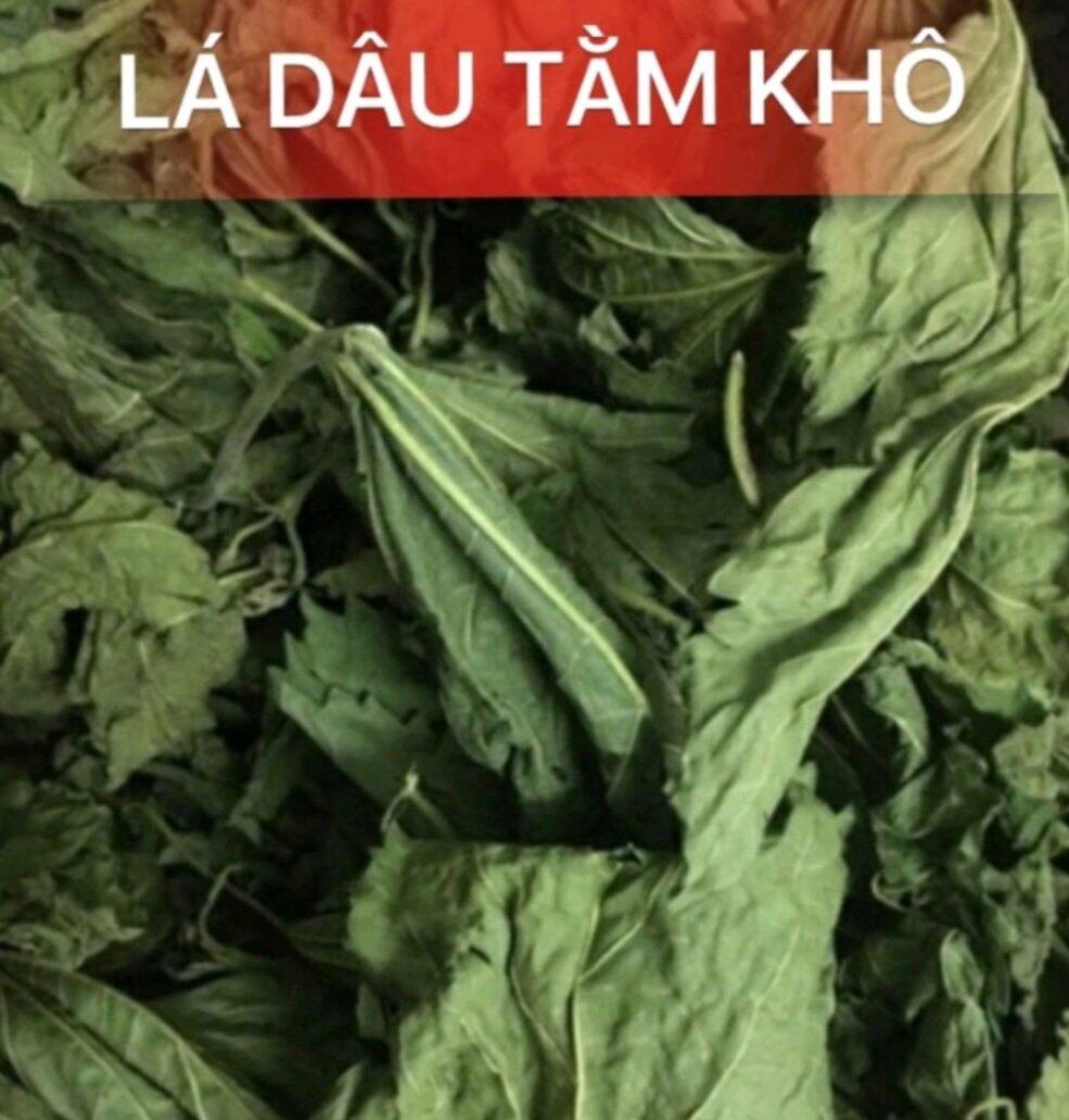 LÁ DÂU TẰM SẤY KHÔ _Thức ăn tự nhiên cho tép cảnh