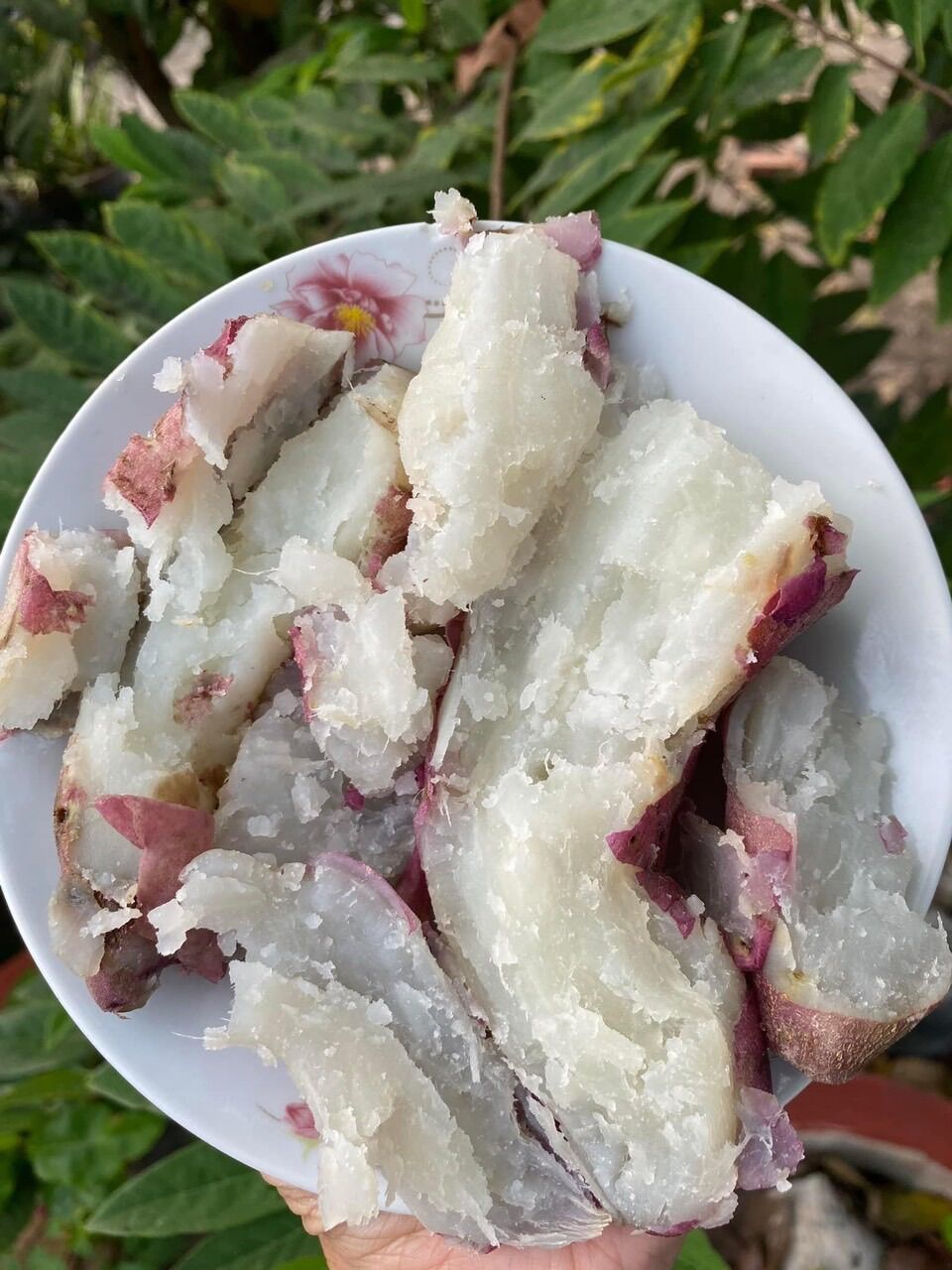 Combo 3kg Khoai Lang Campuchia (Khoai lang hồng đào)
