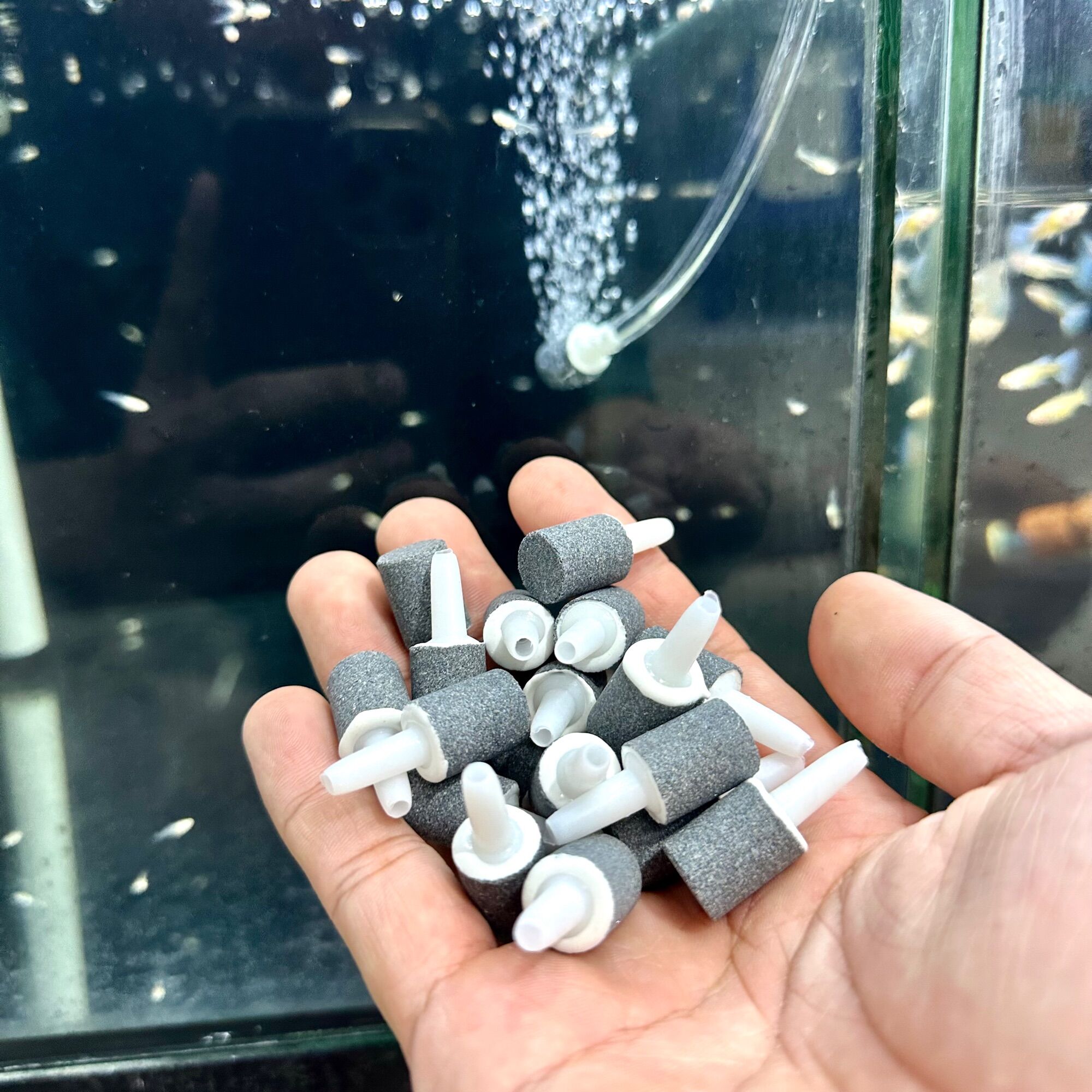 Viên Sủi Oxi Siêu Mịn - Sủi oxy Taiwan - Mini