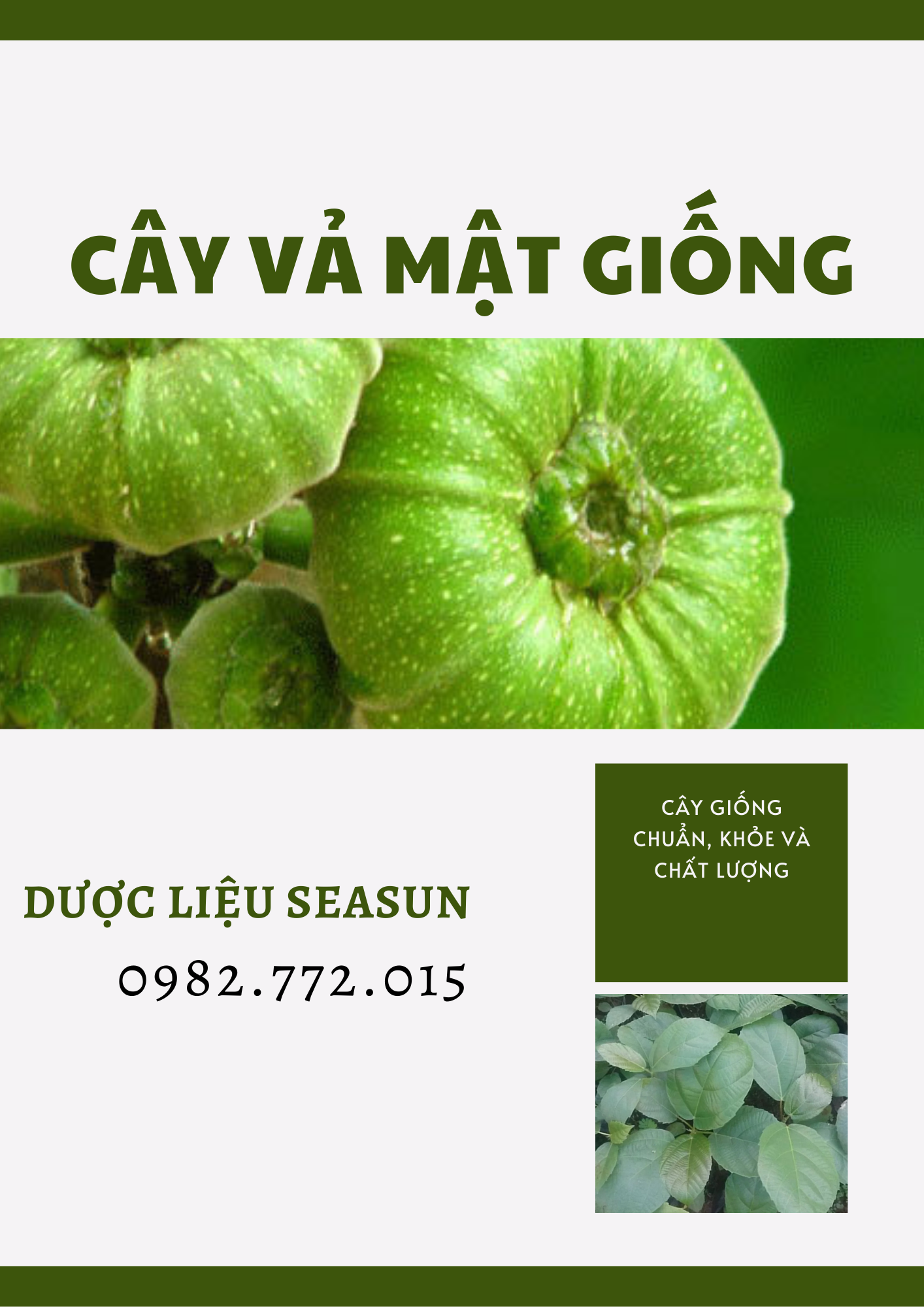 Cây Vả giống