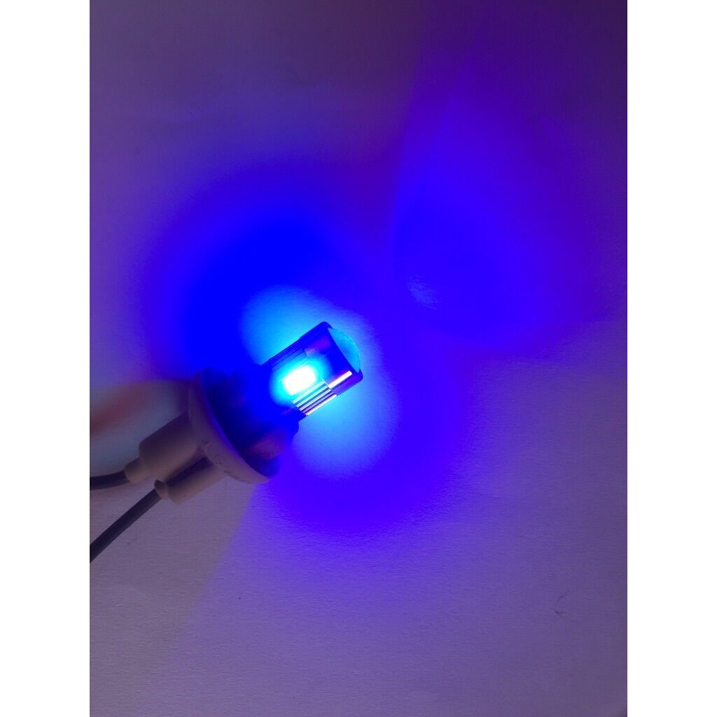 Đèn Si Nhan Đèn Demi Đèn Báo Số Led 6 Mắt ( 1 Bóng )