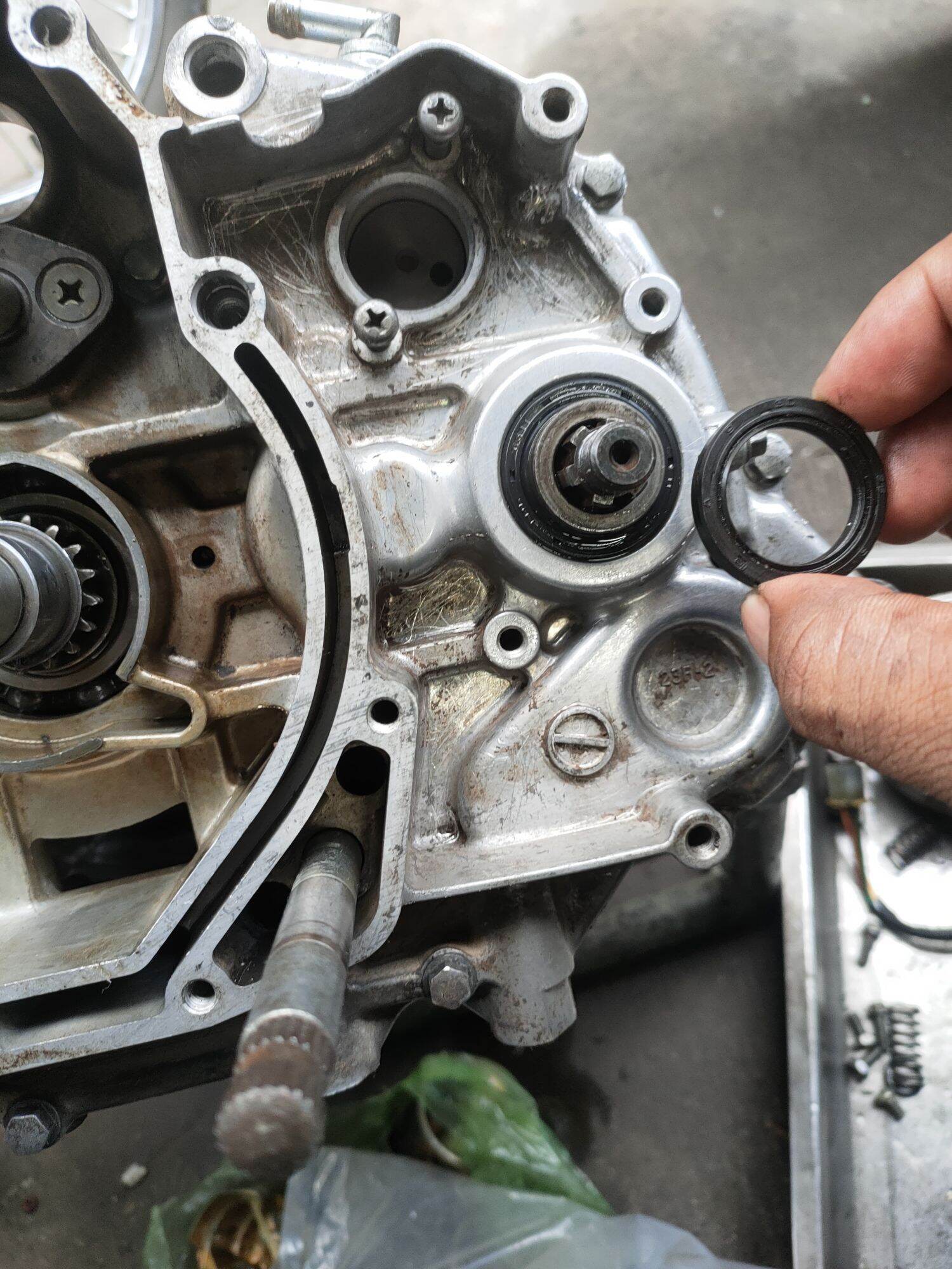 Phốt nhông tải trước suzuki ViVa 110 số vòng 23F