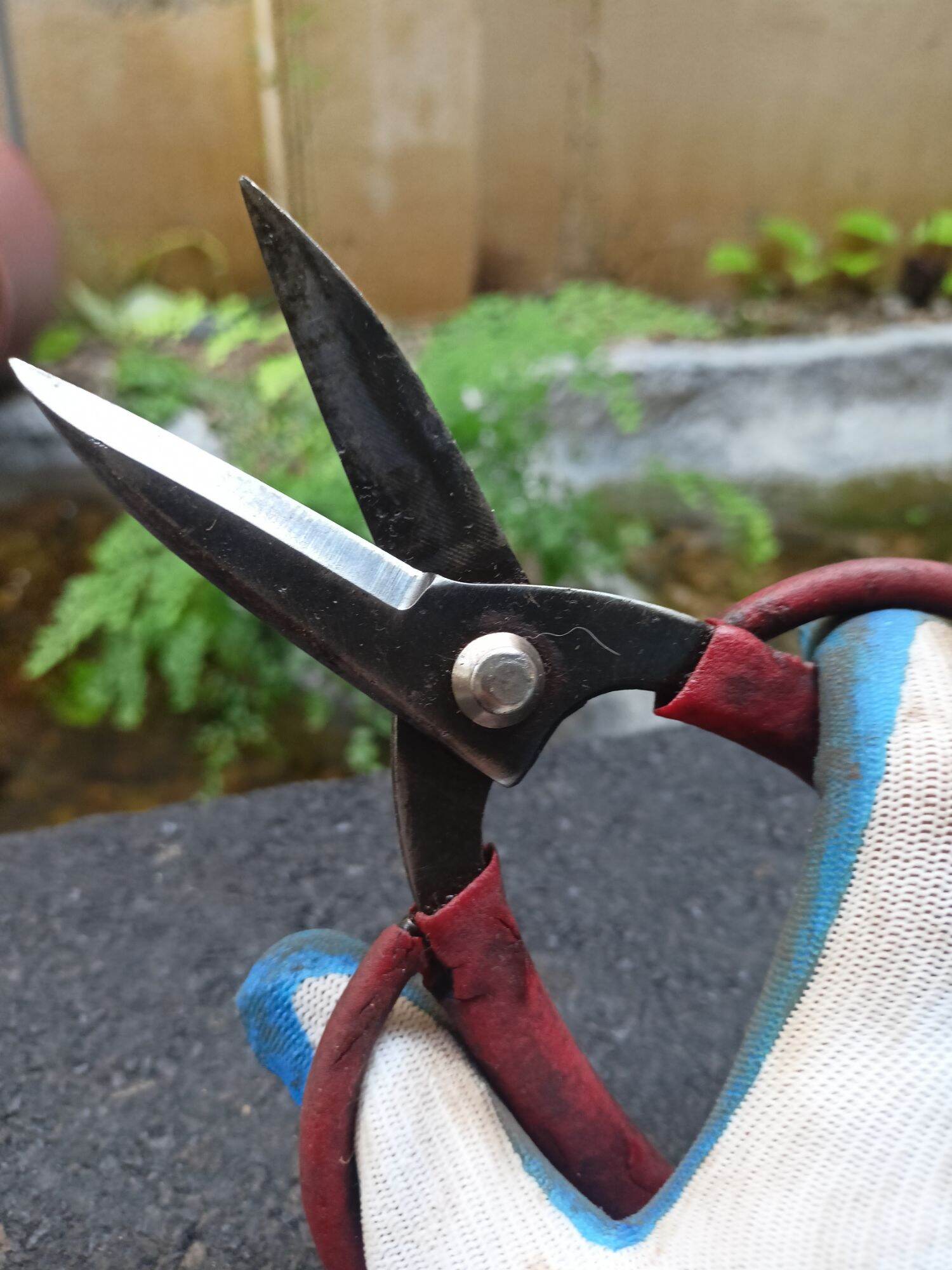 Kéo gia dụng hàng Nhật Bãi