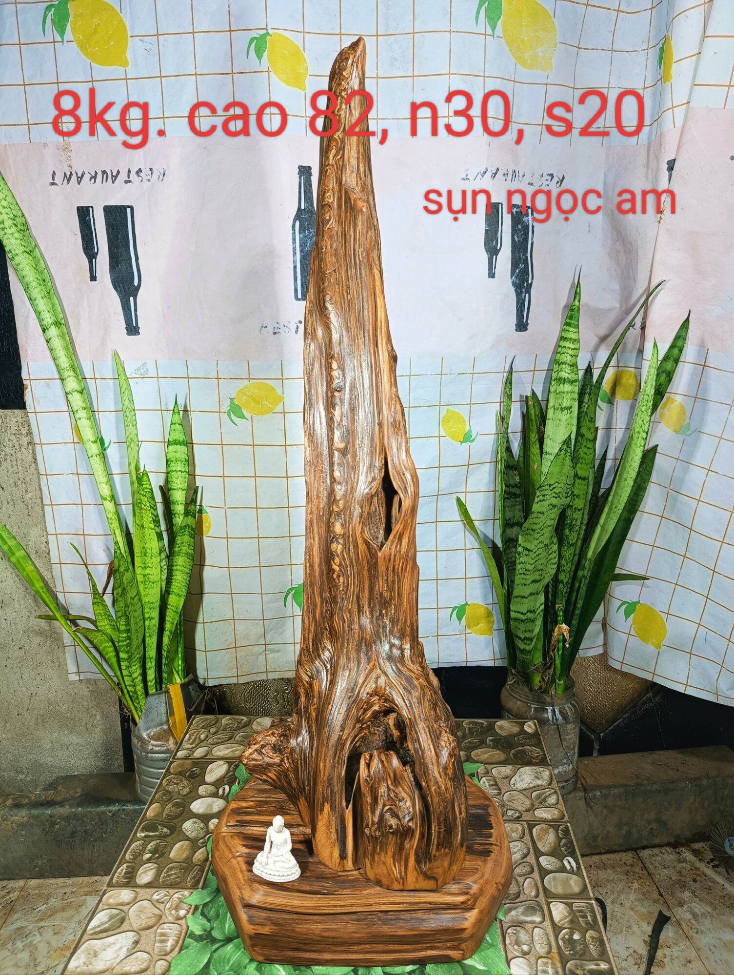 Lũa gỗ thơm ngọc am đỏ hà giang