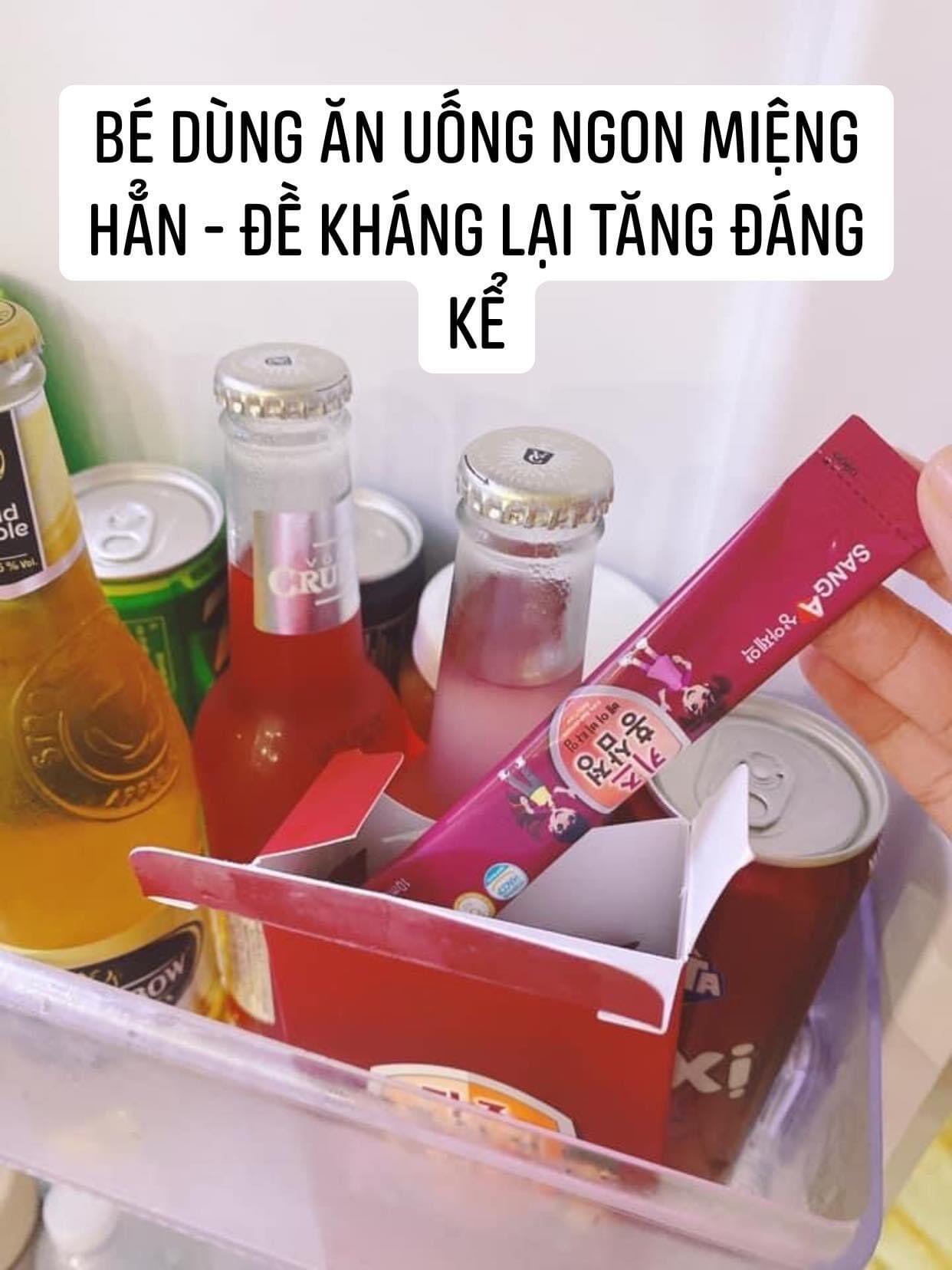 Hồng sâm baby sanga hàn quốc