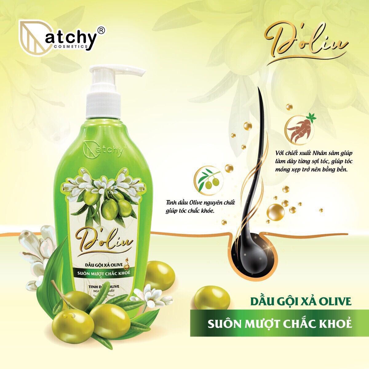 Dầu gội xả olive Catchy