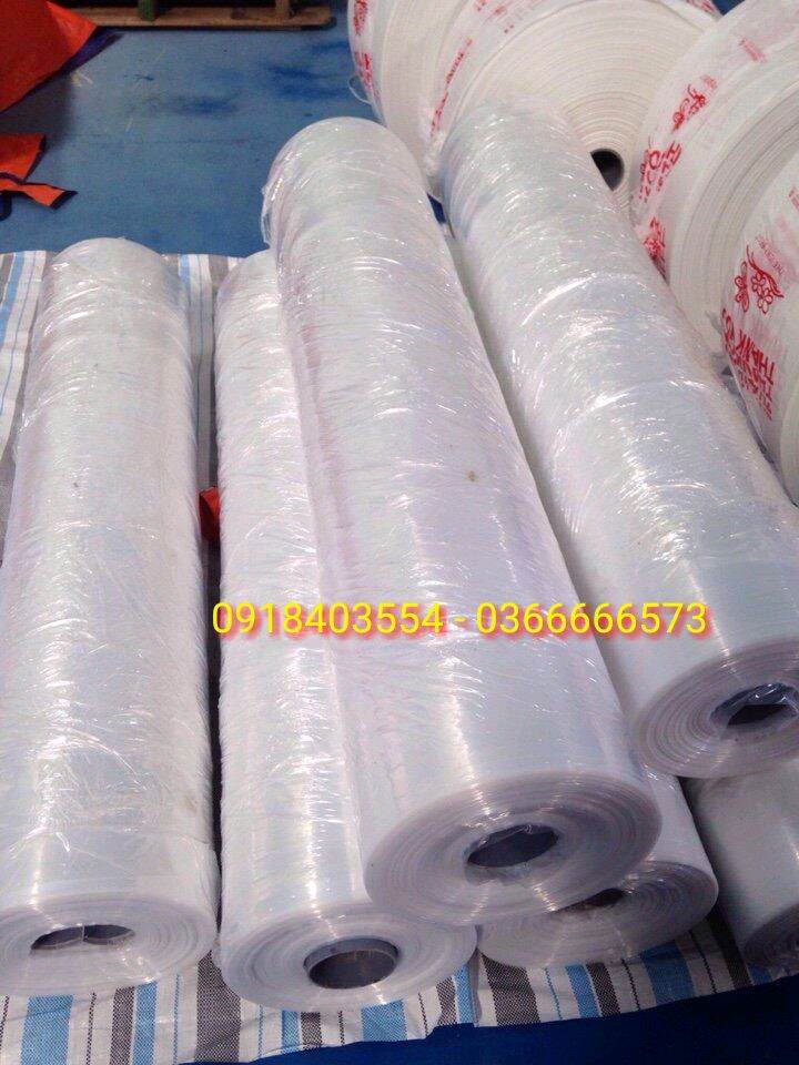 Màn Nhựa PE Khổ Lớn