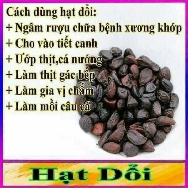 Hạt dổi nếp tây bắc 100gr - hạt dổi rừng cực thơm gia vị ướp món nướng đồ chấm chuẩn vị núi rừng
