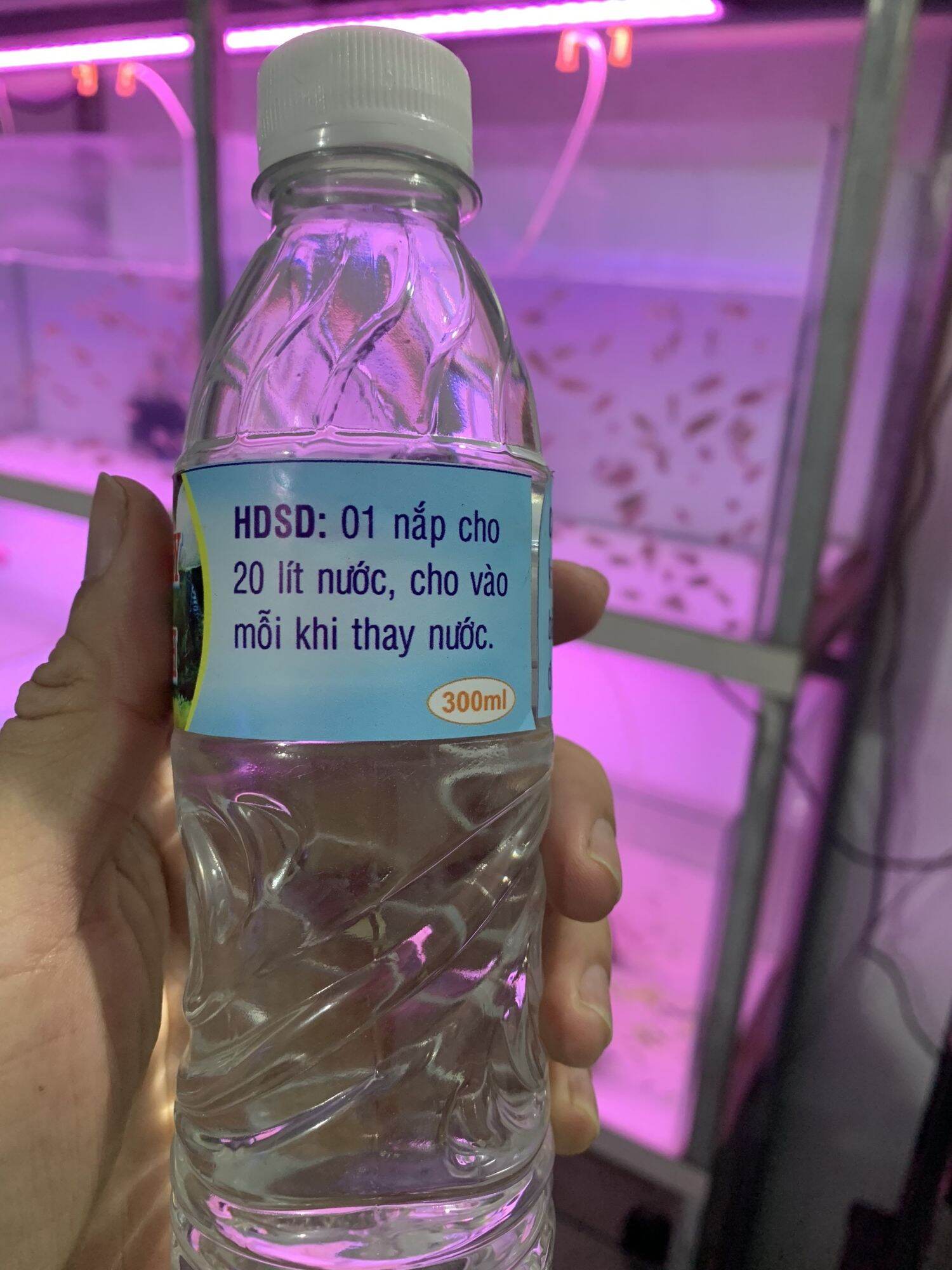 Khử Nước Máy Nuôi Cá Cảnh
