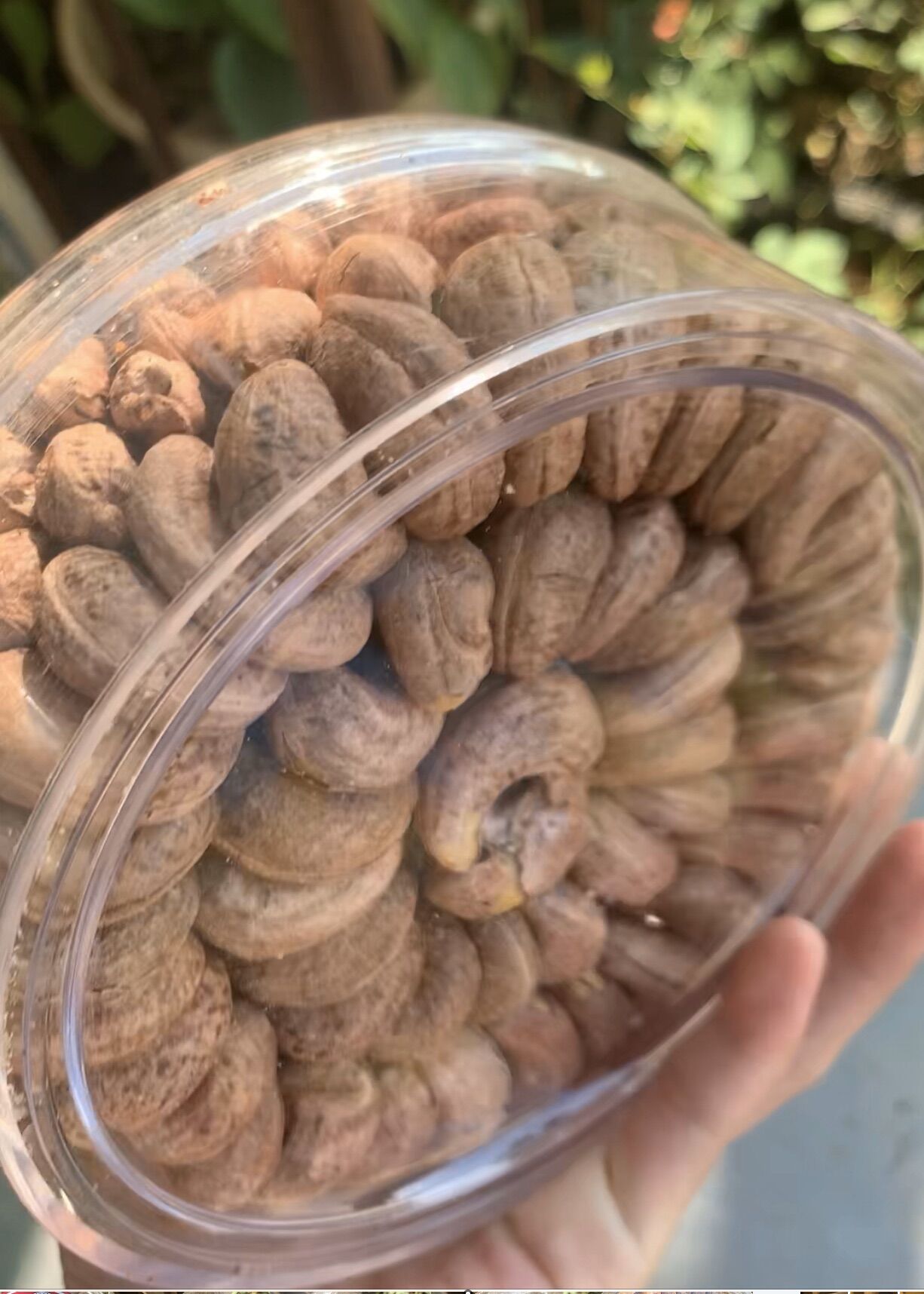 500g_ĐIỀU A CỒ XẾP HOA