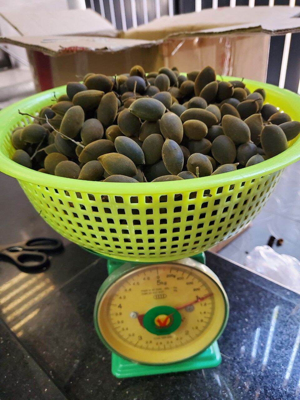 Trái say trâu rừng