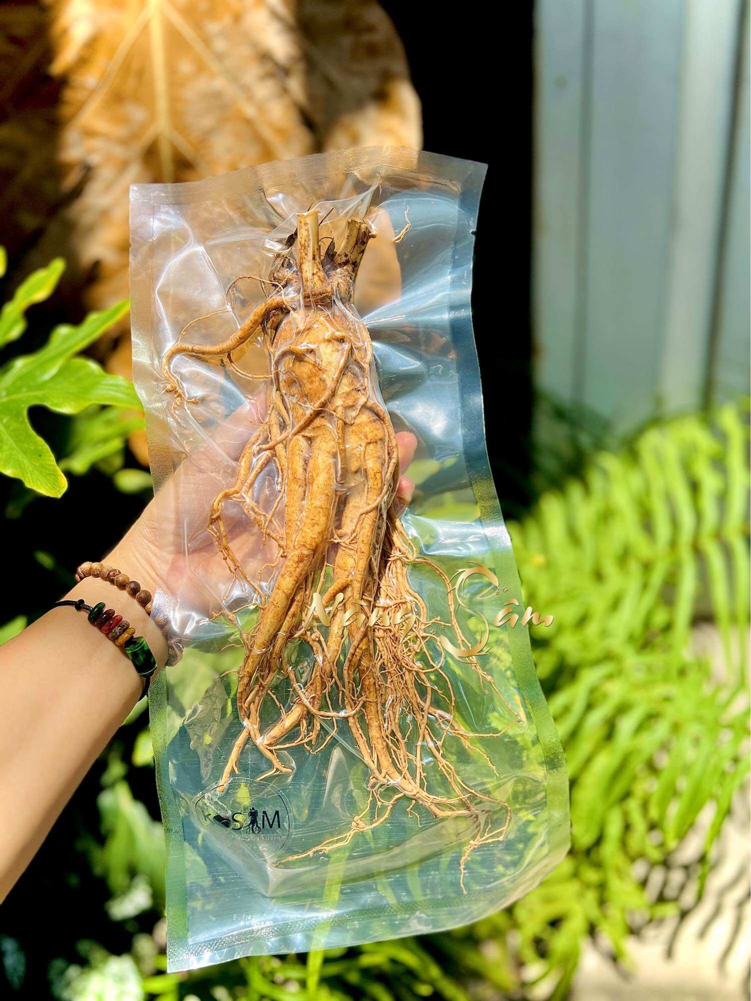 1 Củ Nhân Sâm Tươi Hàn Quốc Size 7 Củ/kg - Sâm Chuẩn Hàn Quốc