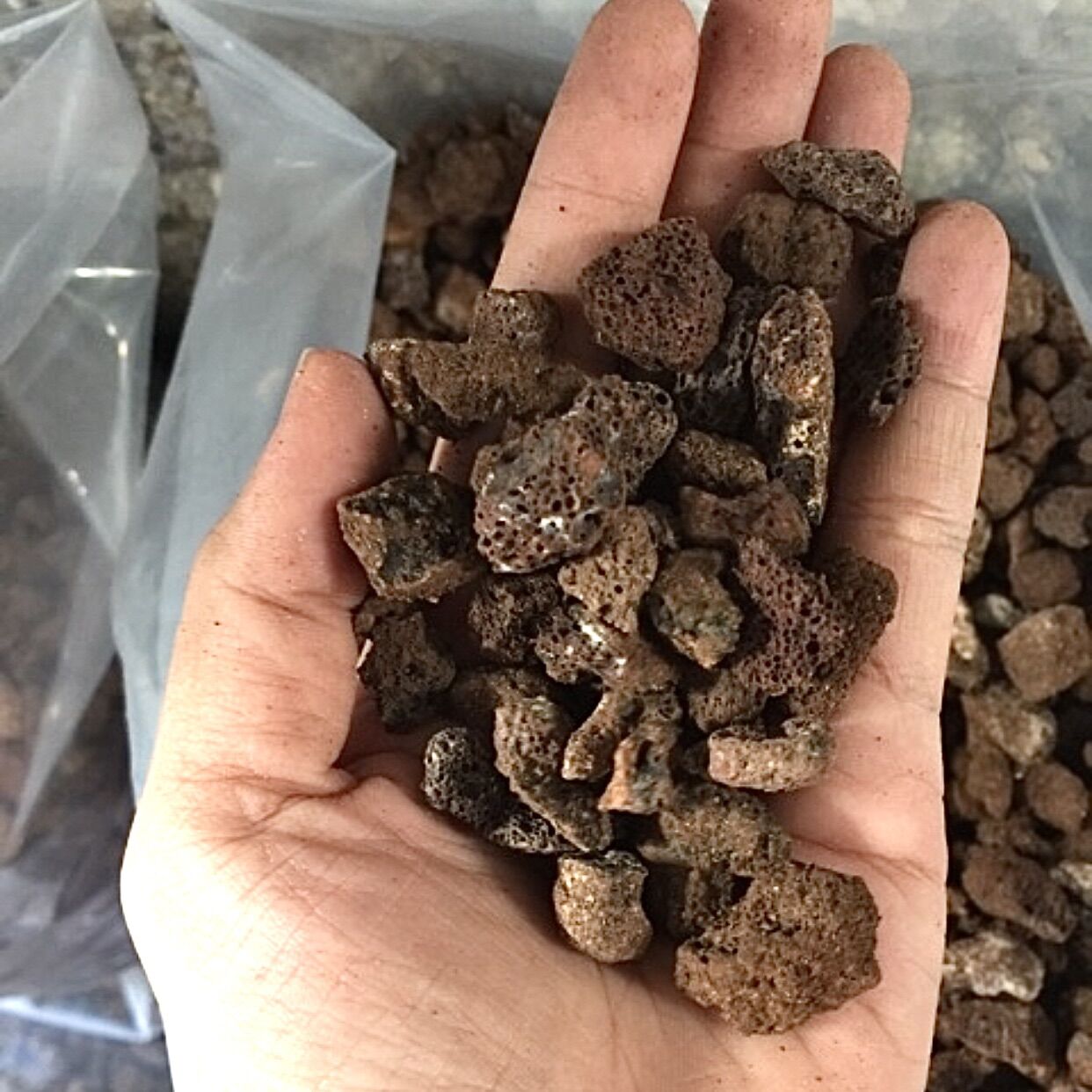 Đá nham thạch 1kg lọc nước trải nền hồ cá, thùng xốp,...