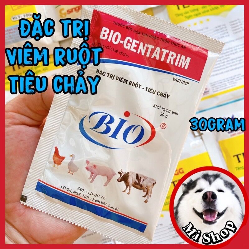 Bio Gentatrim viêm ruột, tiêu chảy gà, heo, trâu, bò