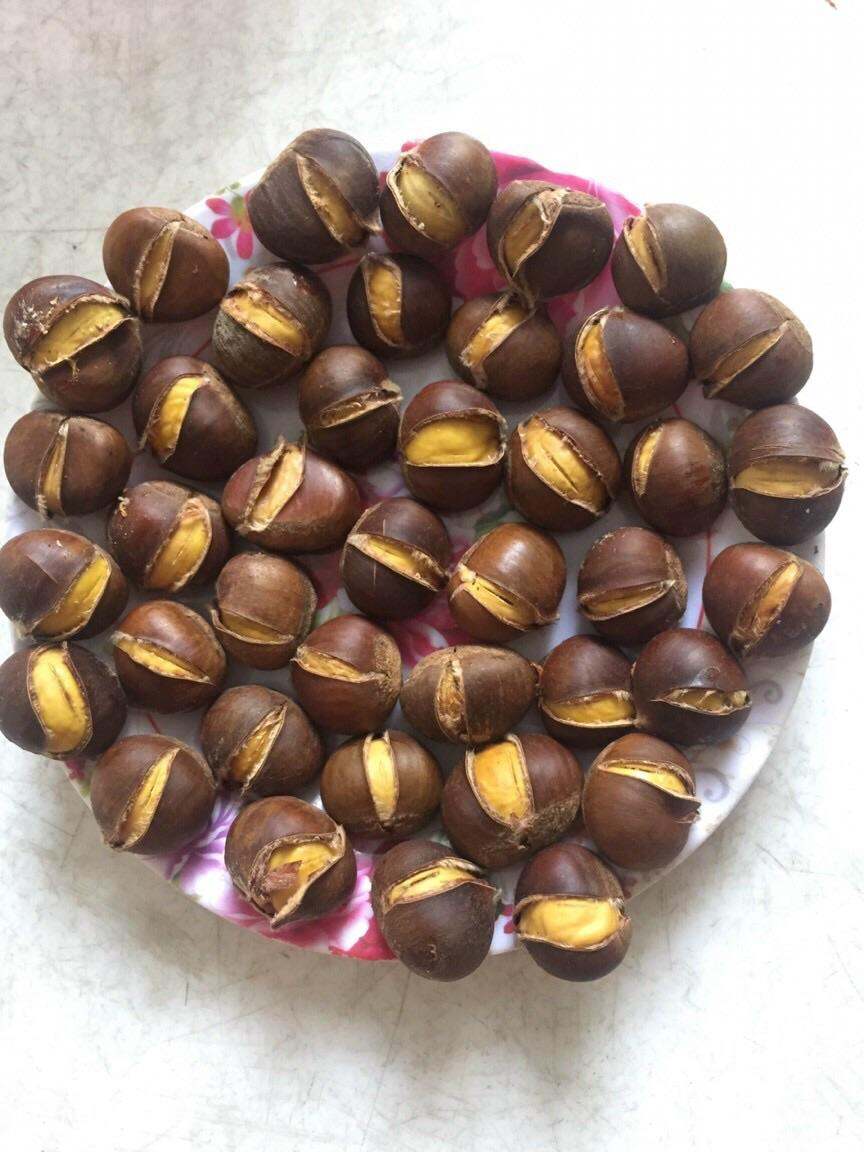 Hạt dẻ rang sẵn Lào cai 1 kg ship tphcm