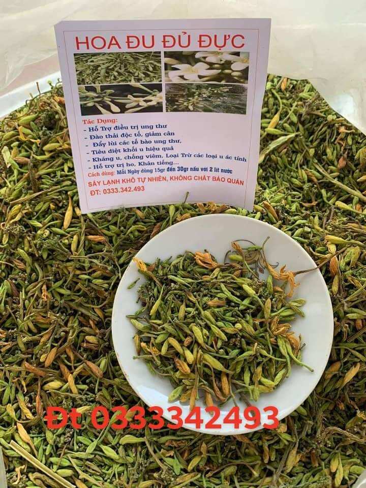 Hoa Đu Đủ Đực khô sấy lạnh 1kg nguyên chất