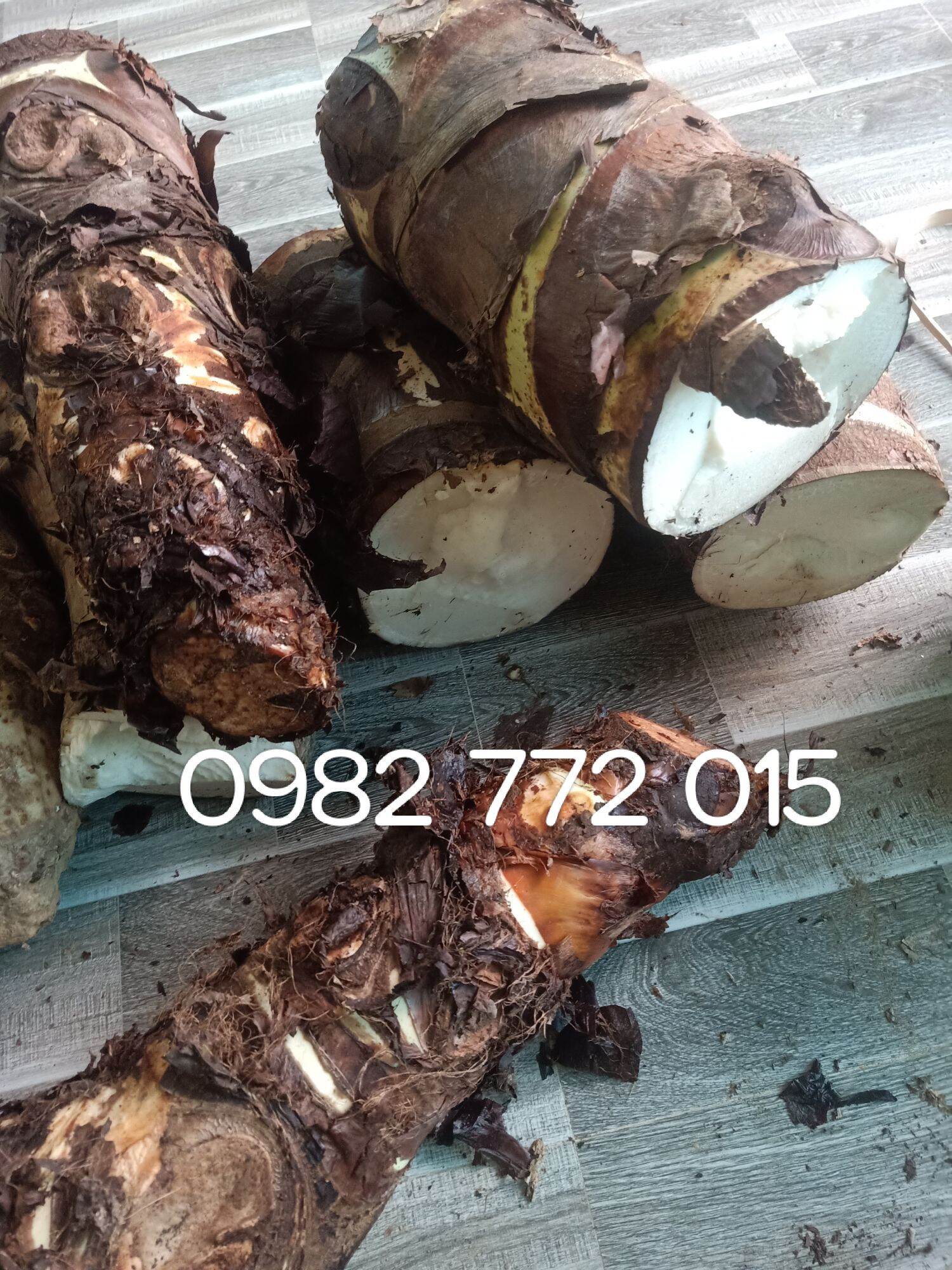 (Mua 5 tặng 1)Combo 5 Kg Củ Bạc Hà Núi Cấm Tri Ung Thu.