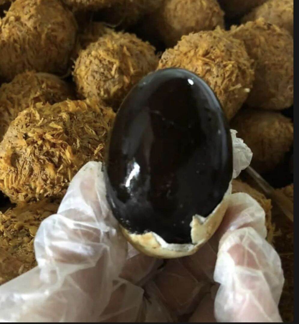 10 TRỨNG VỊT BÁCH THẢO