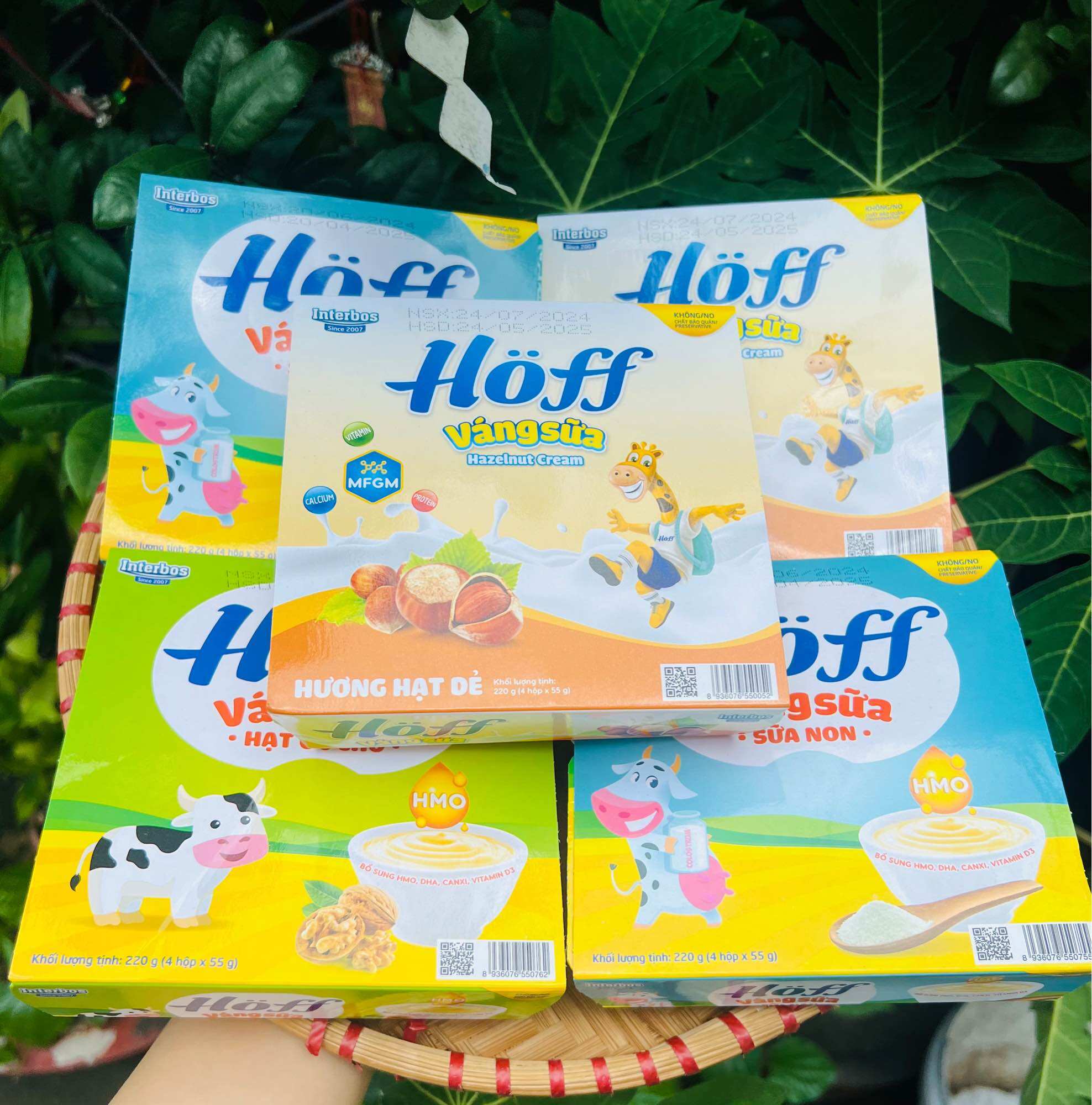 Lốc 4 hộp váng sữa Gotz Hoff đủ vị