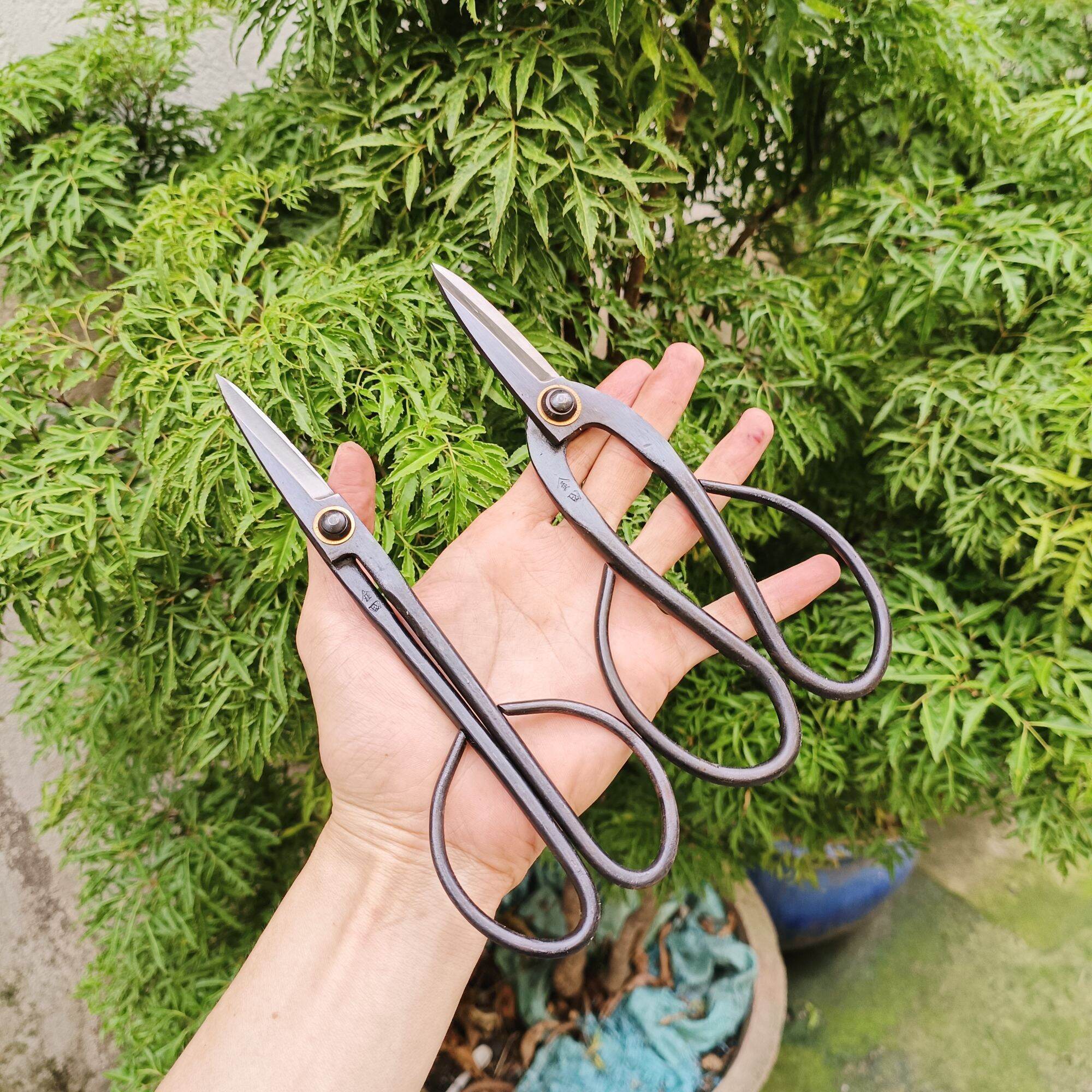 kéo tỉa cành tỉa dăm bonsai
