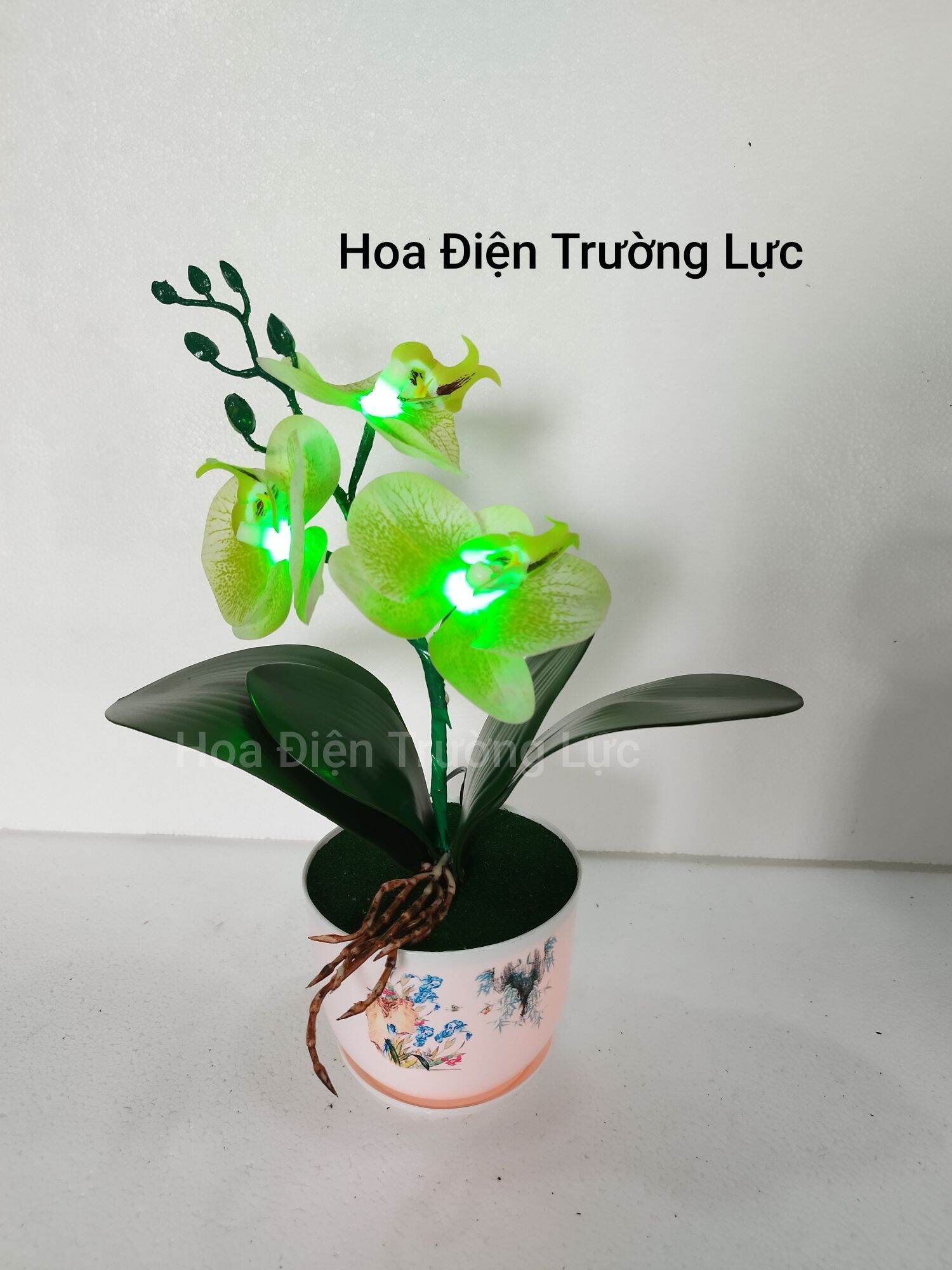 Chậu hoa lan gắn đèn cao 35 cm