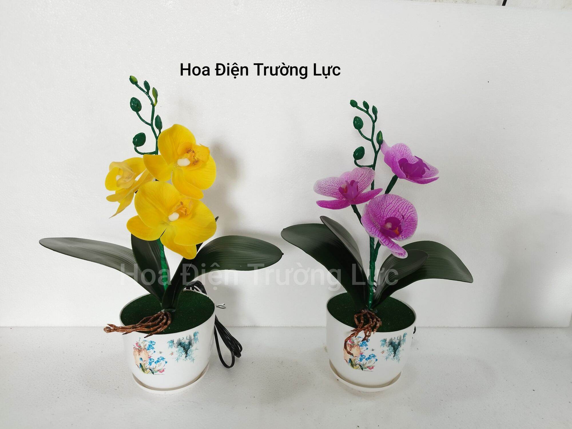Chậu hoa lan gắn đèn cao 35 cm