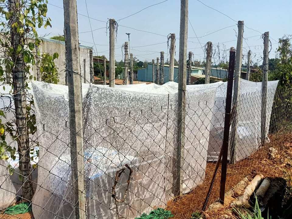Mùng nuôi ruồi lính đen - 3x2x2