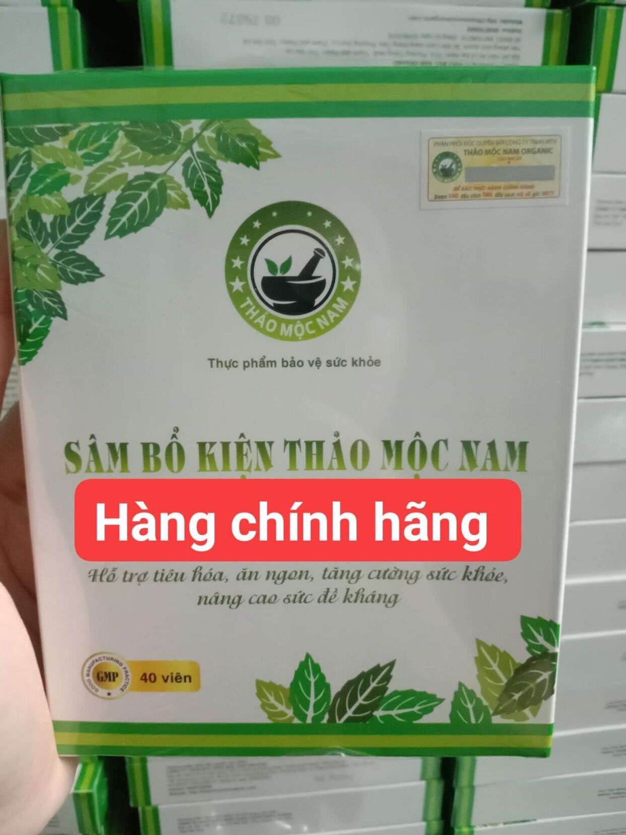 sâm bổ kiện thảo mộc nam