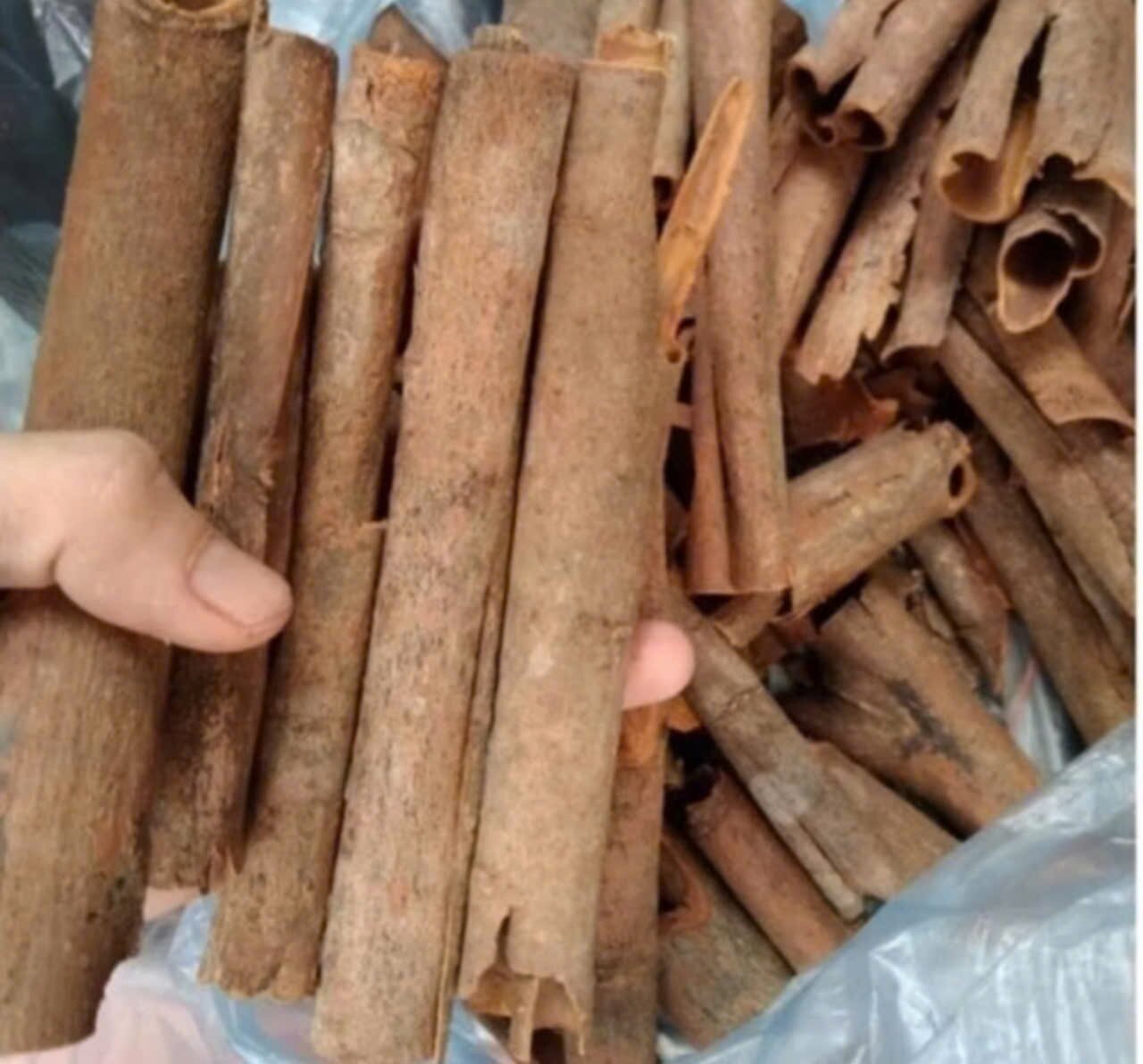 100 Gram Quế Vụn, thơm sạch, quế làm trà, quế xông nhà