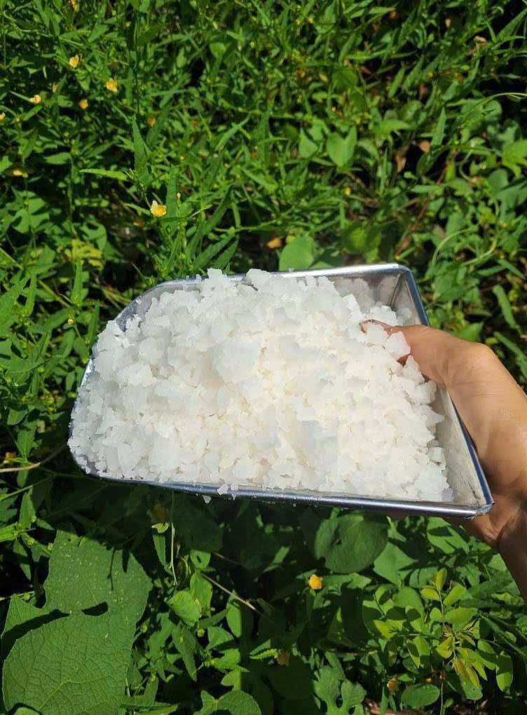 Muối thô ( không tinh luyện )