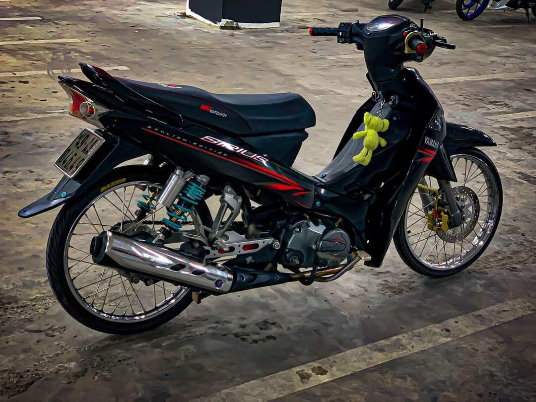 Tem rời sirius đen