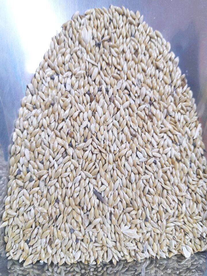 Hạt láng dài cho các loại chim., 1kg