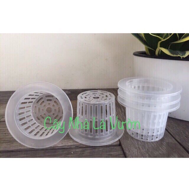 Combo 5 rọ thủy canh cao R10cm*7