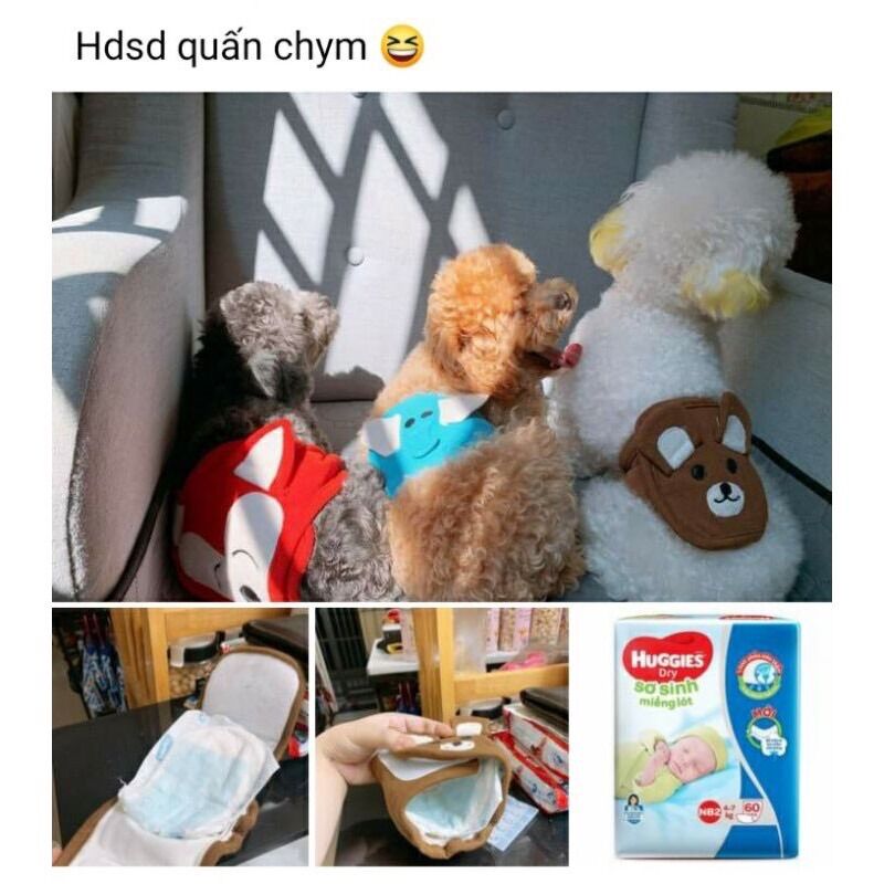 Tã quấn sinh lý cho cún đực