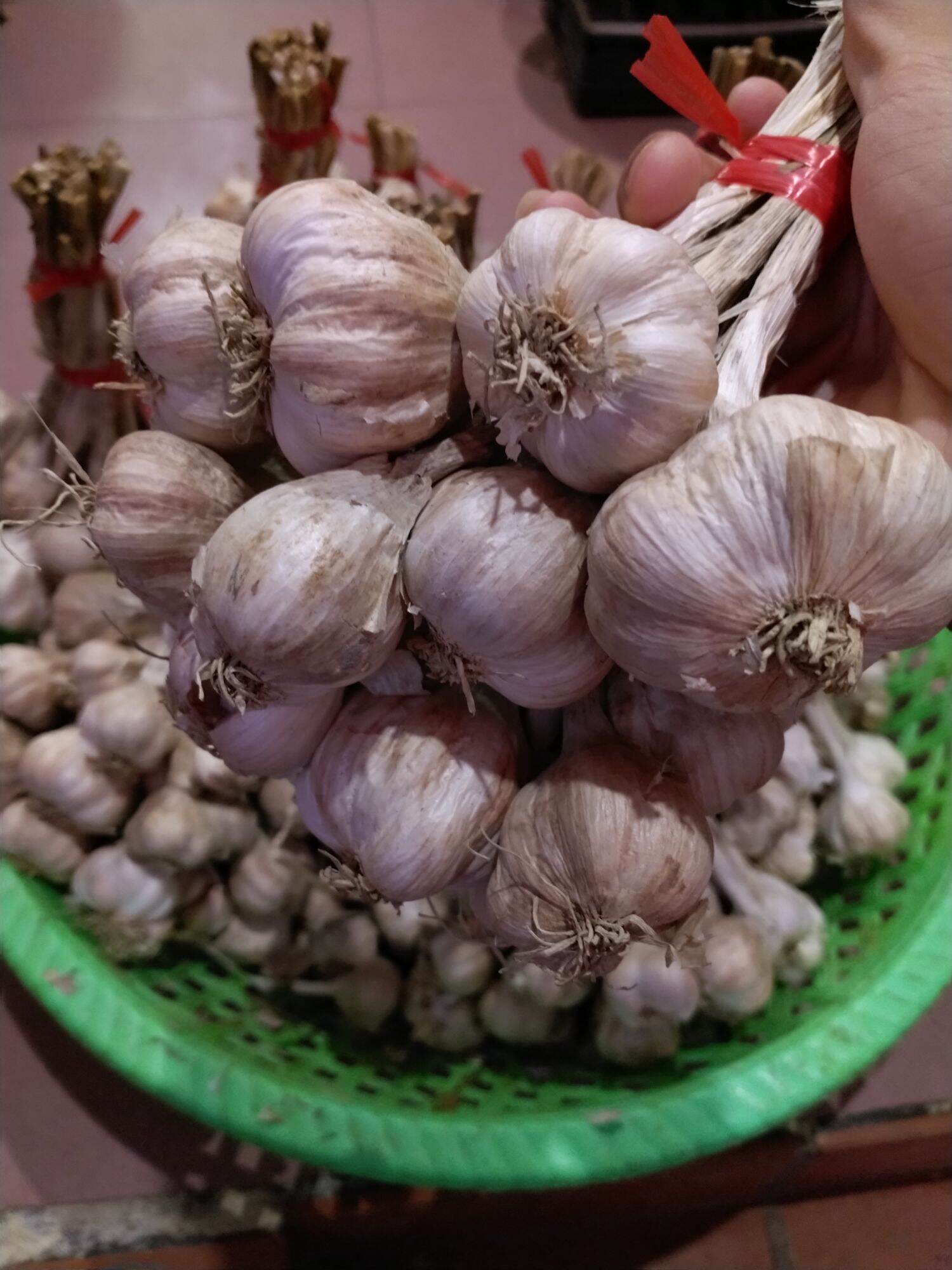 tỏi ta "kinh môn, hiệp hòa" củ chắc đẹp 100%