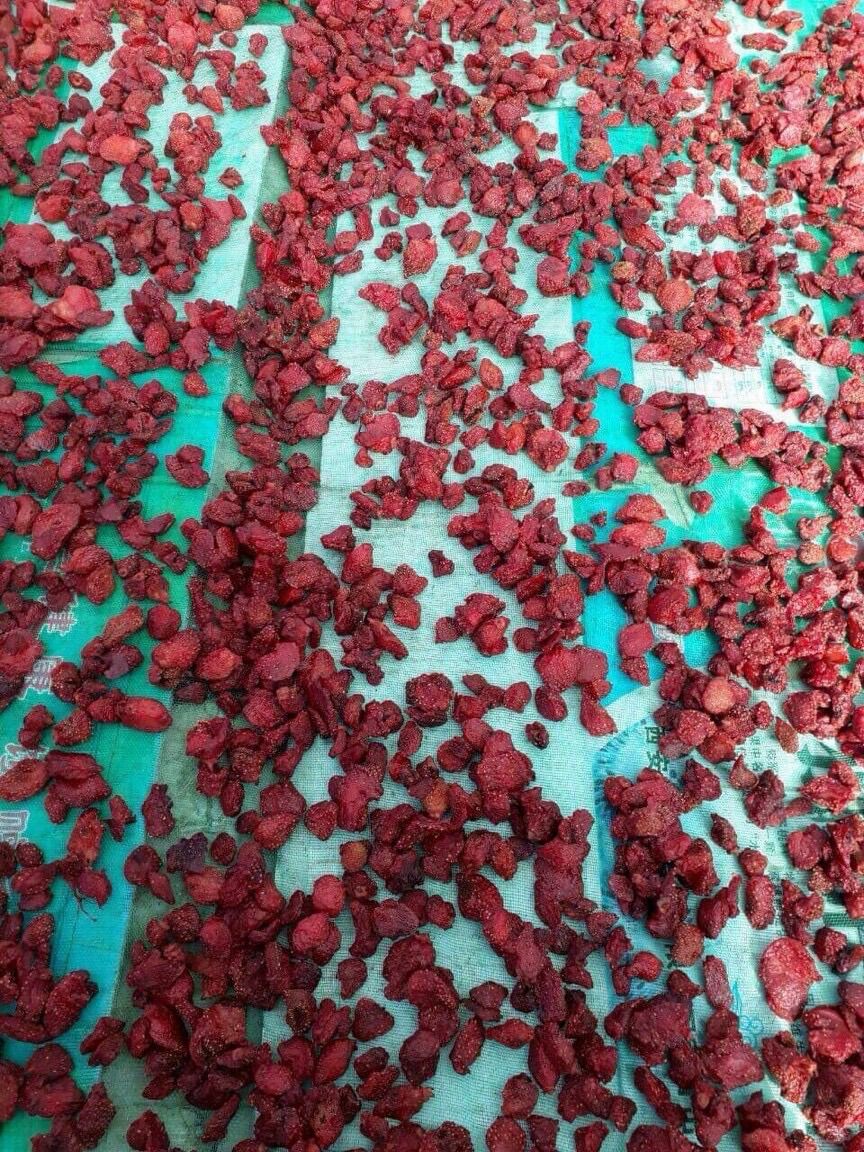 500G Dâu tây sấy dẻo đặc sản Đà Lạt