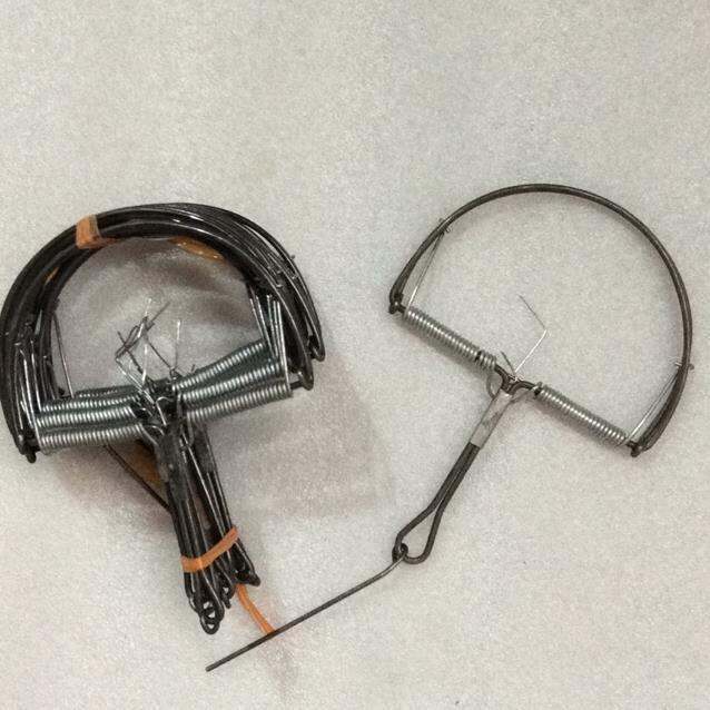 Bẫy chuột hình bán nguyệt