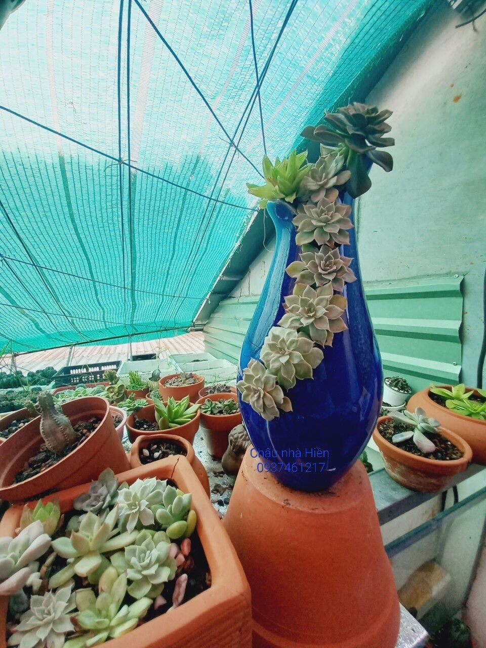 Chậu đất nung Bình Dương bình hoa xẻ tráng men xanh