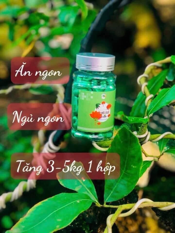 Thảo Mộc Gold Tiến Hạnh