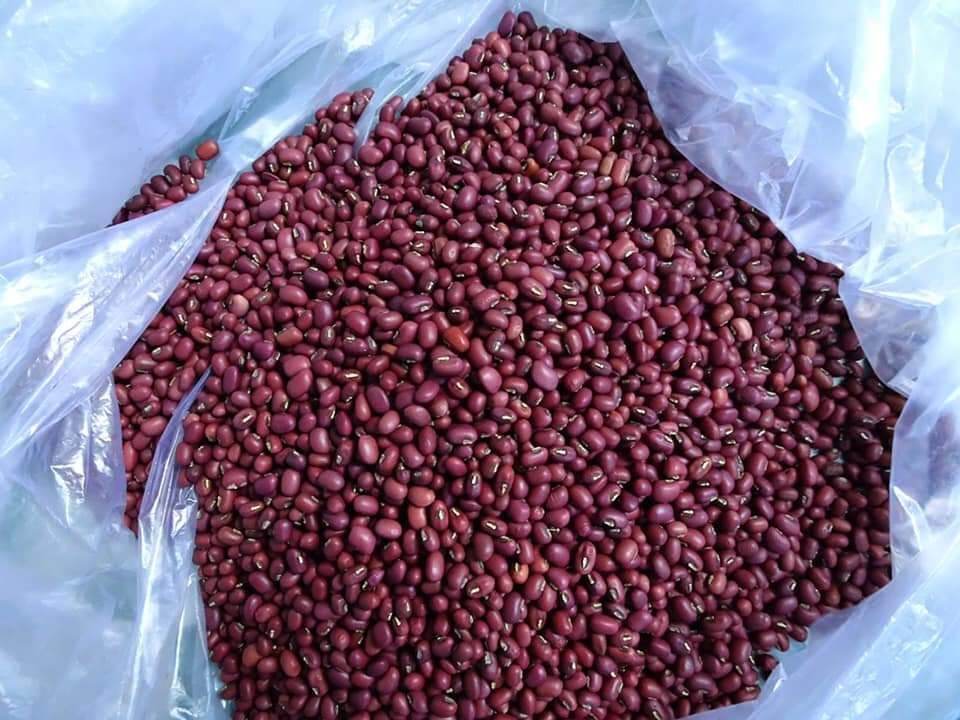 ĐẬU ĐỎ SẠCH ĐĂKLĂK 1kg
