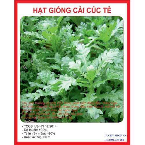 Hạt giống cải cúc tẻ 2500hạt ~20gram