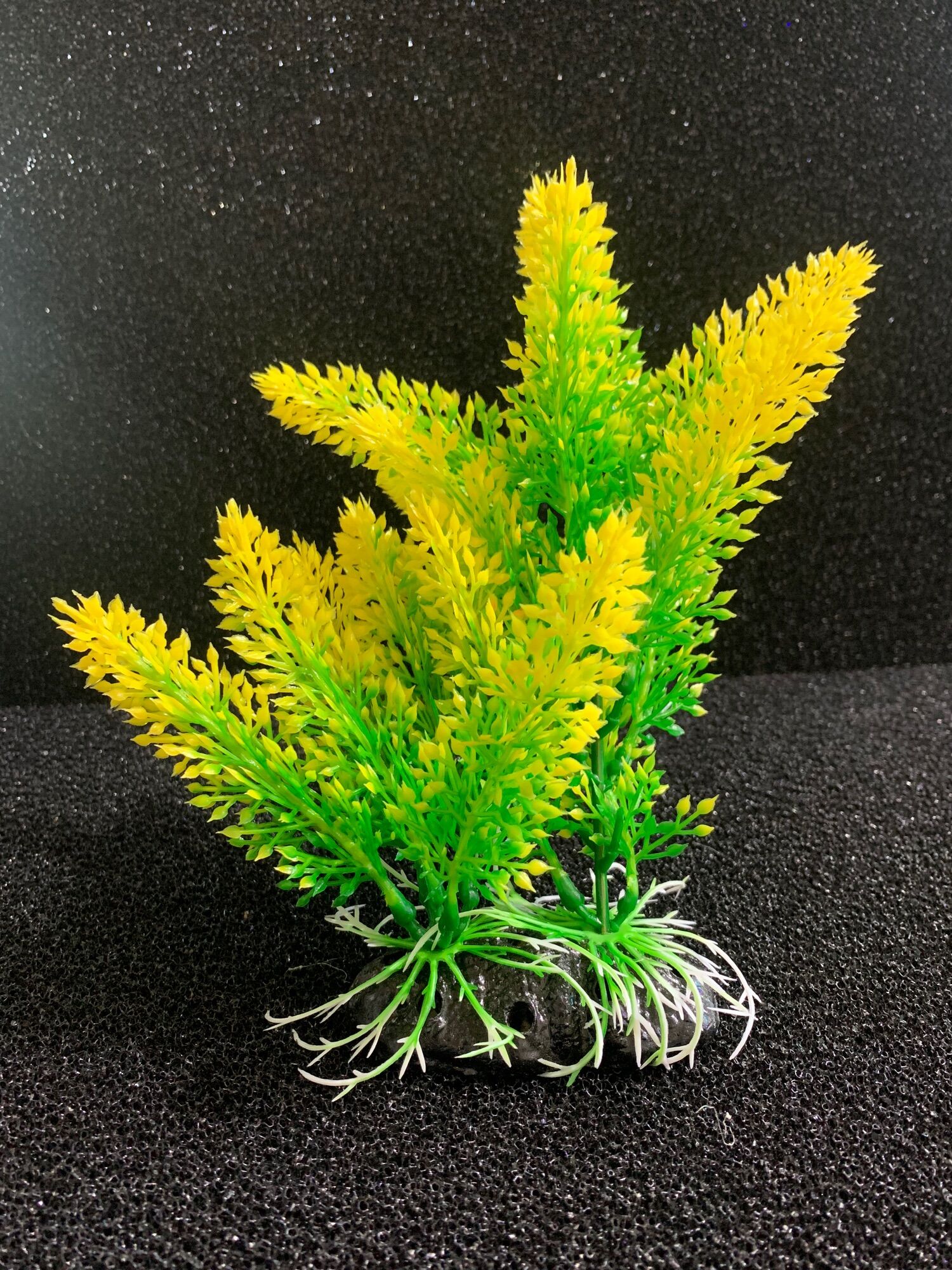 Cây nhựa thuỷ sinh cho hồ cá hàng đẹp 20x15Cm